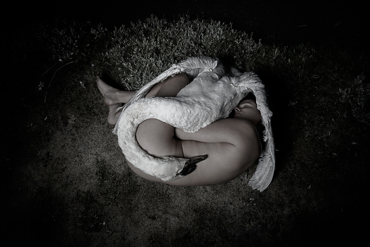 ©2025 - Connected - Nr 1/10 - 20x30 (Dibond+frame black) - 290€