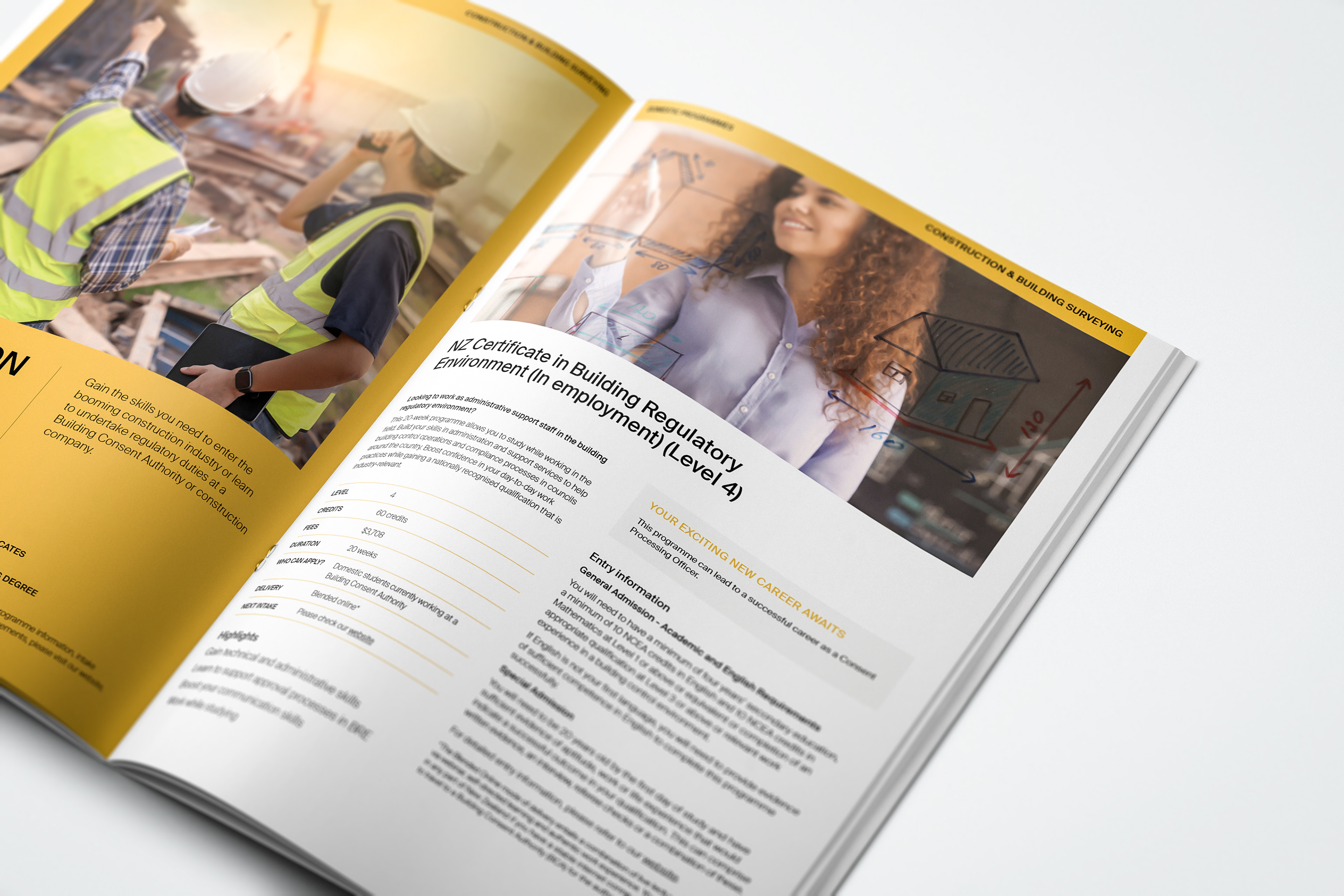 Domestic prospectus programme information