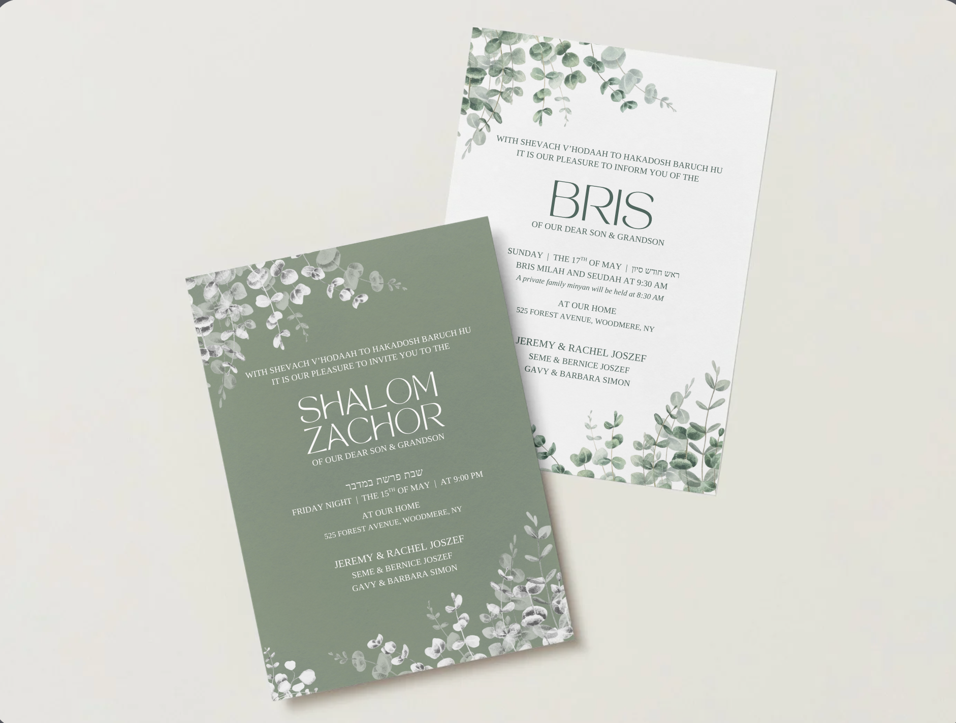 Eucalyptus Collection