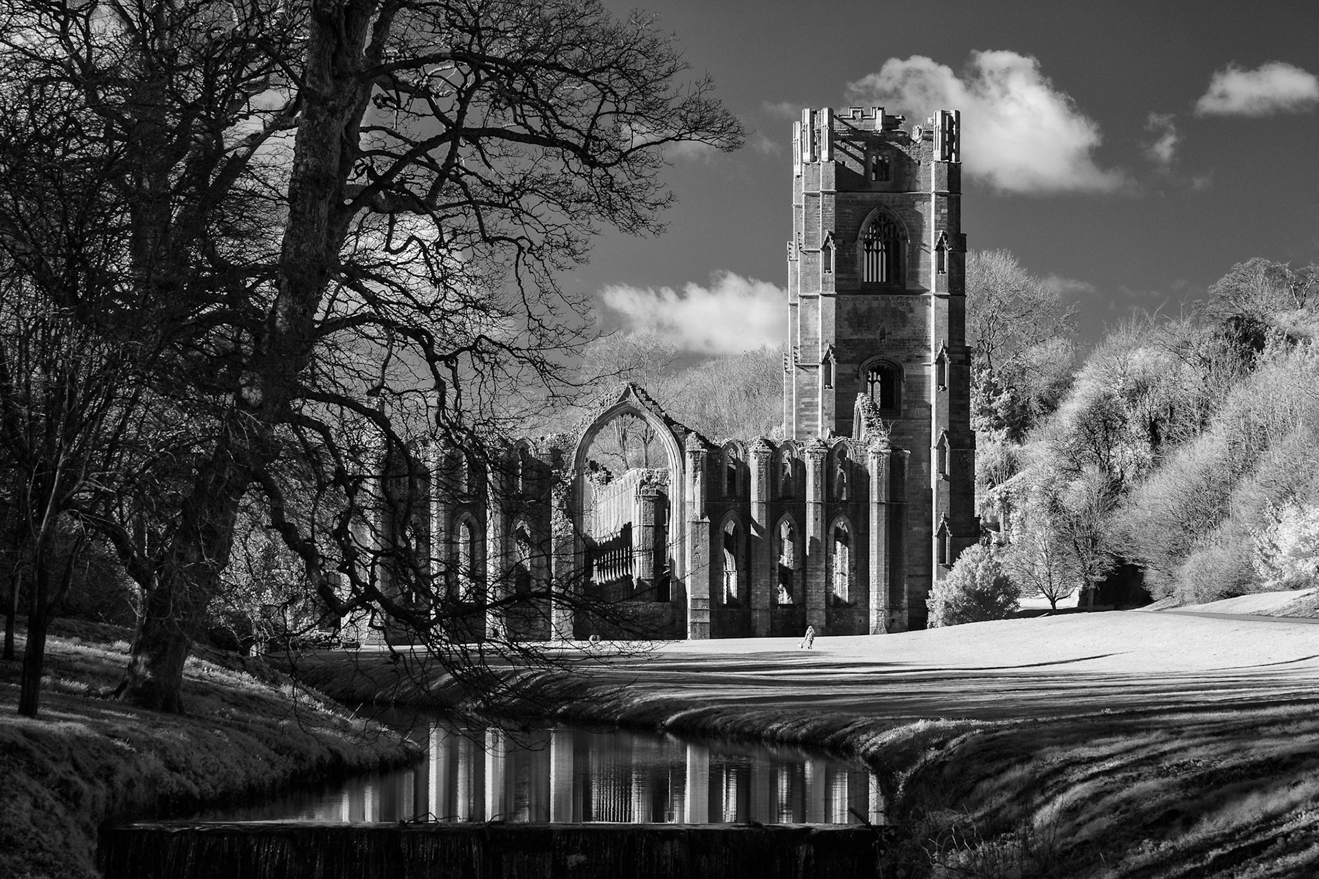 Fountains abbey