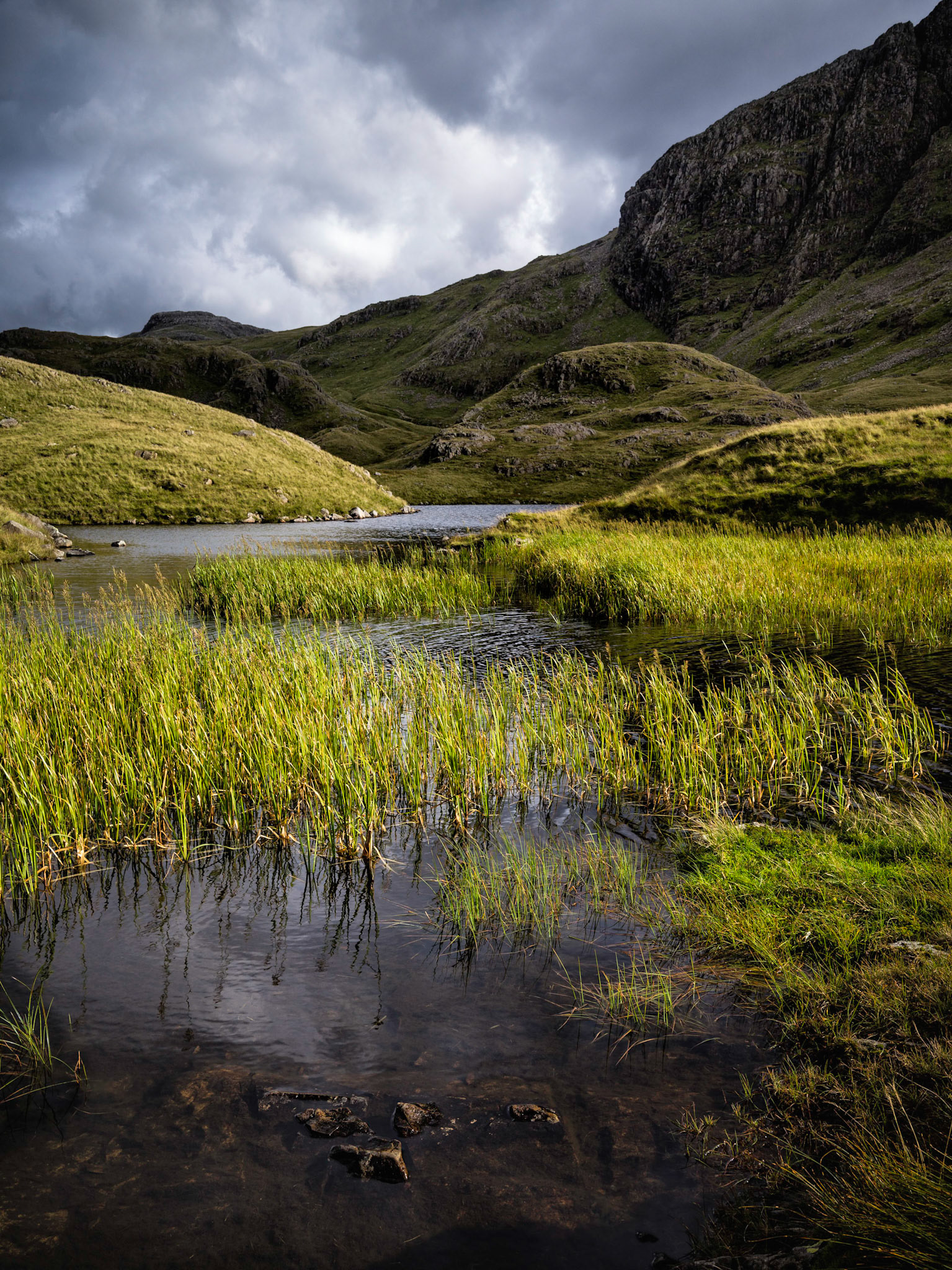 Sprinkling tarn