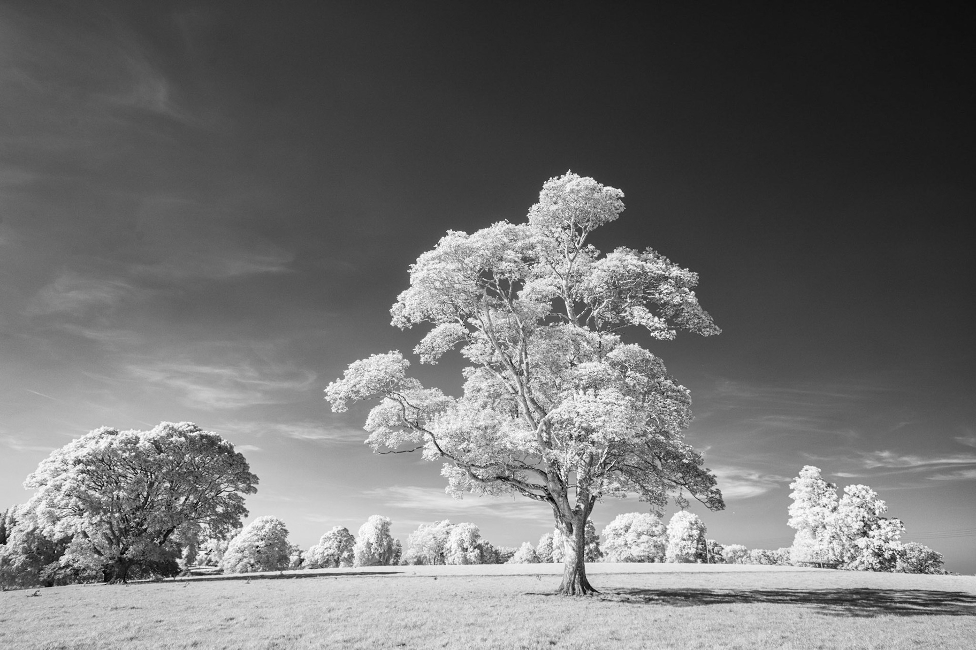 Edenhall