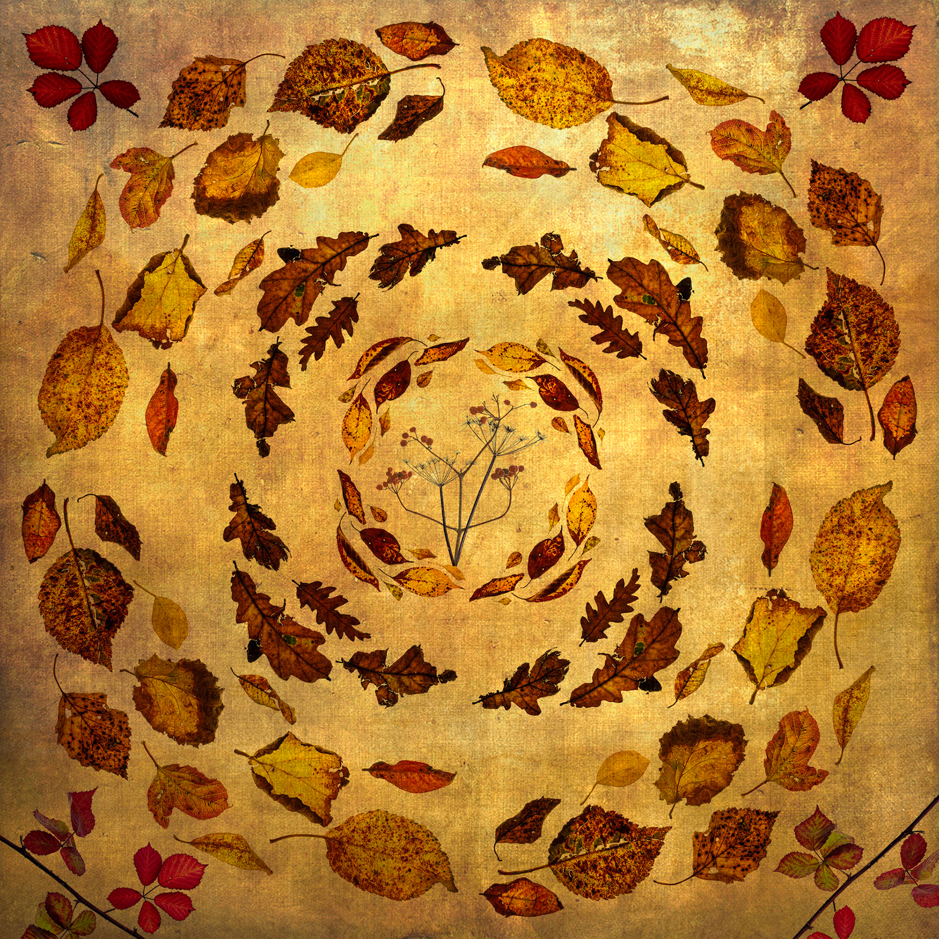 Autumn 2
