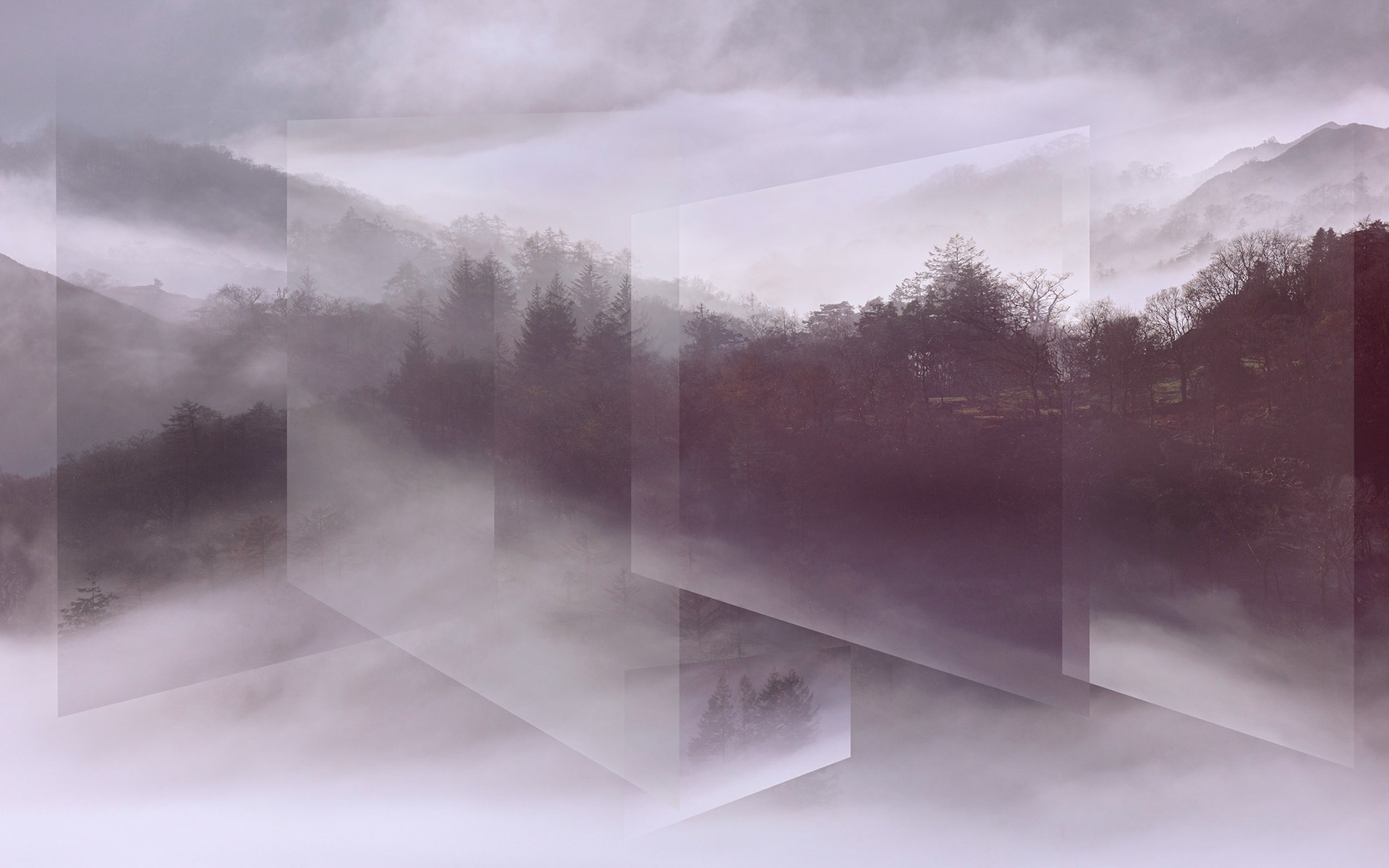 Altered perceptions