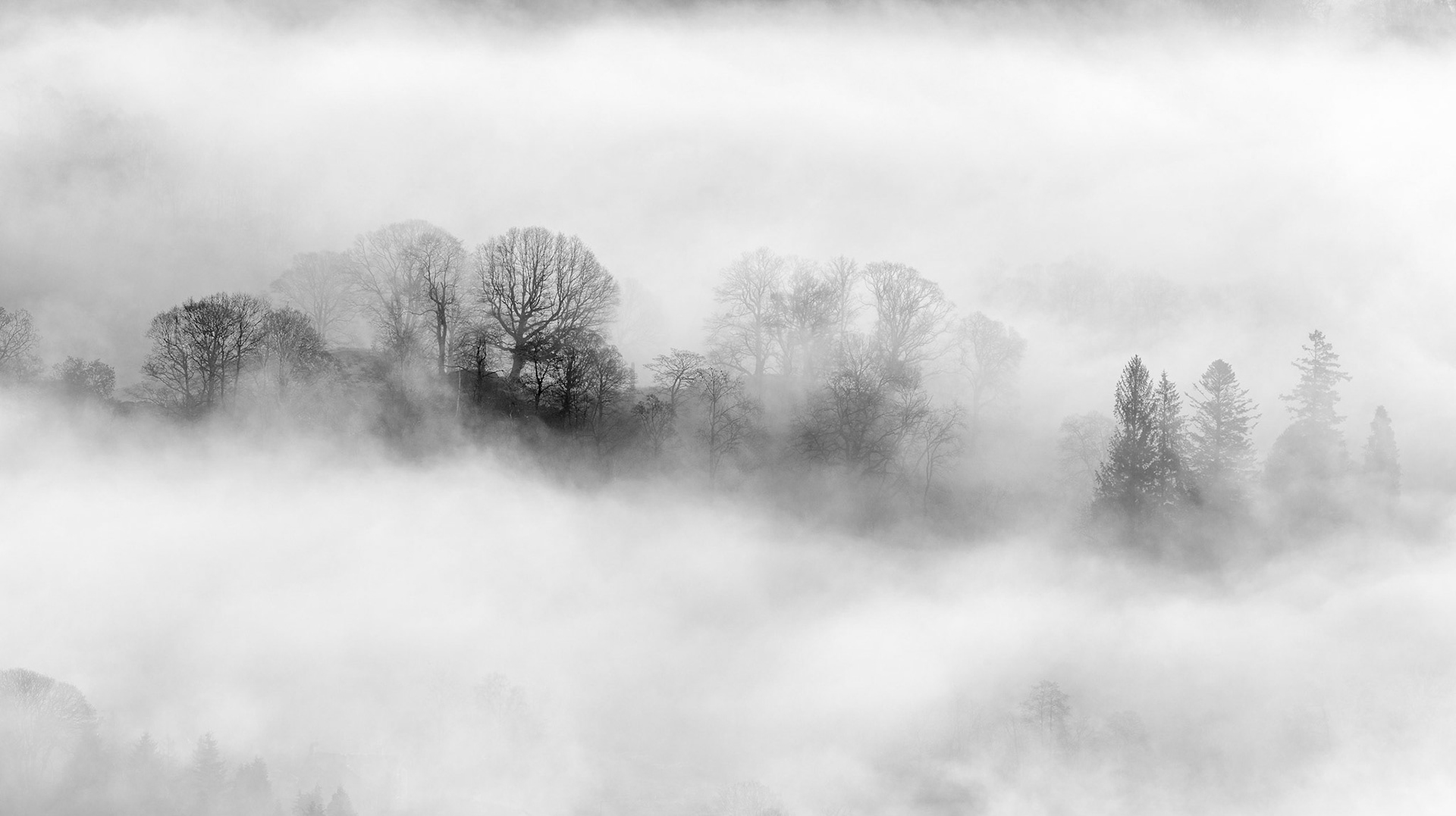Elterwater mist