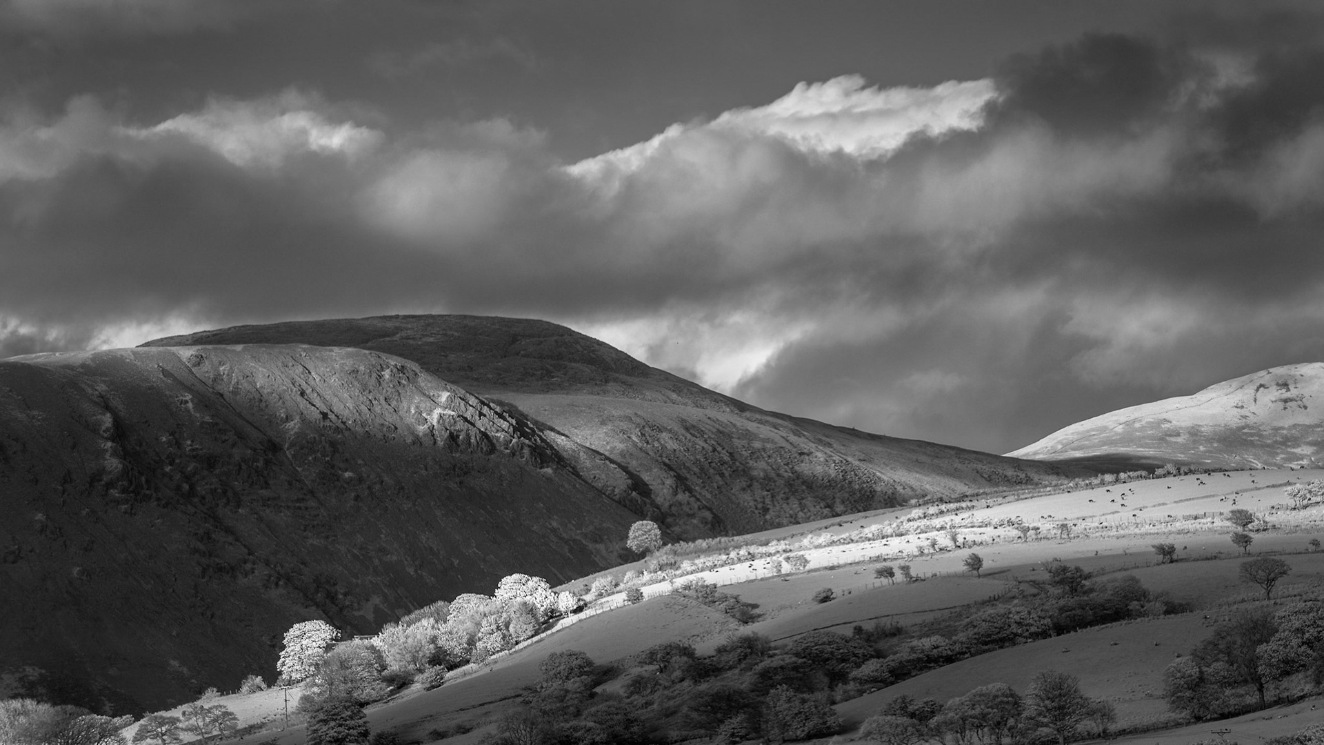 Kinniside view