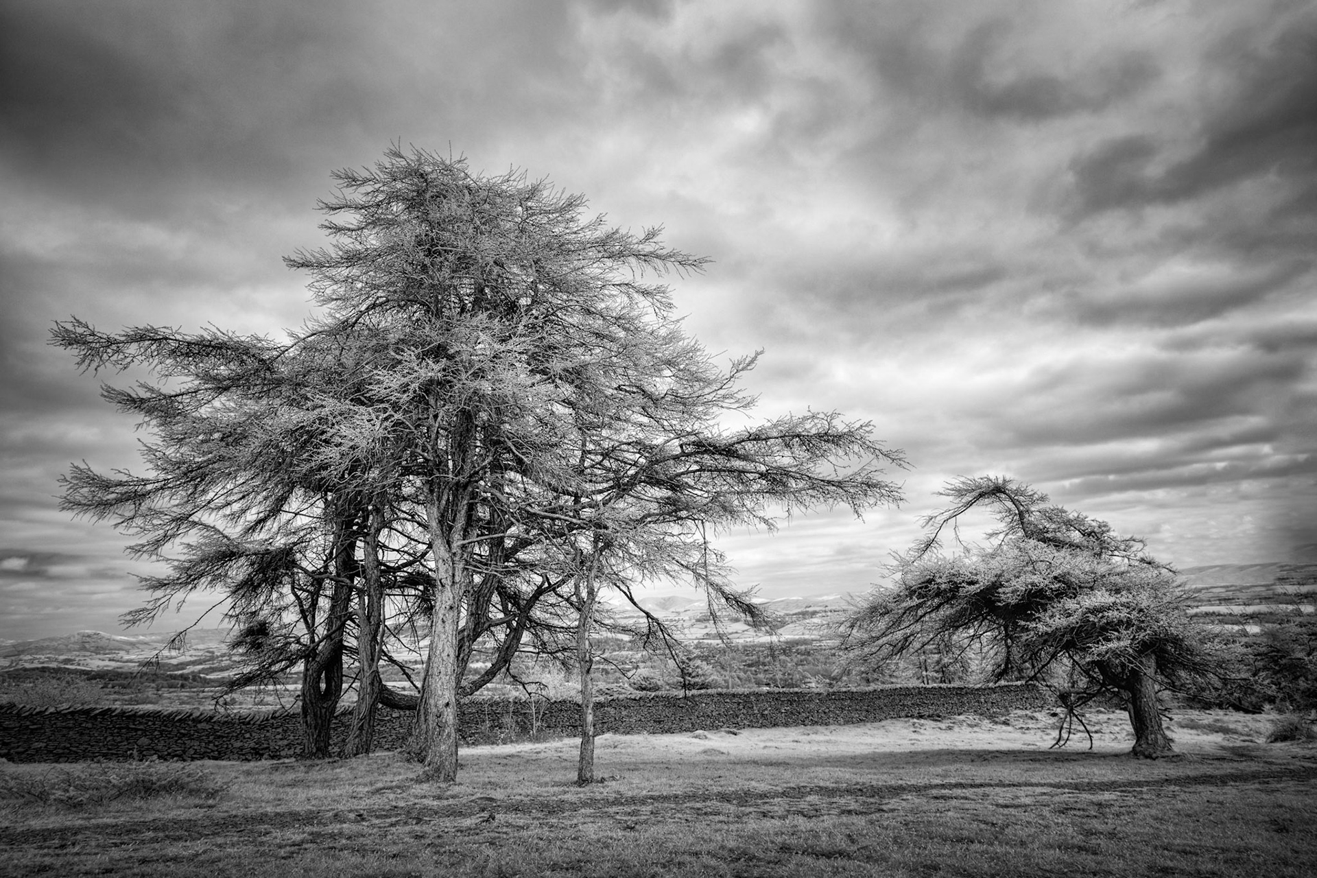 isolated
