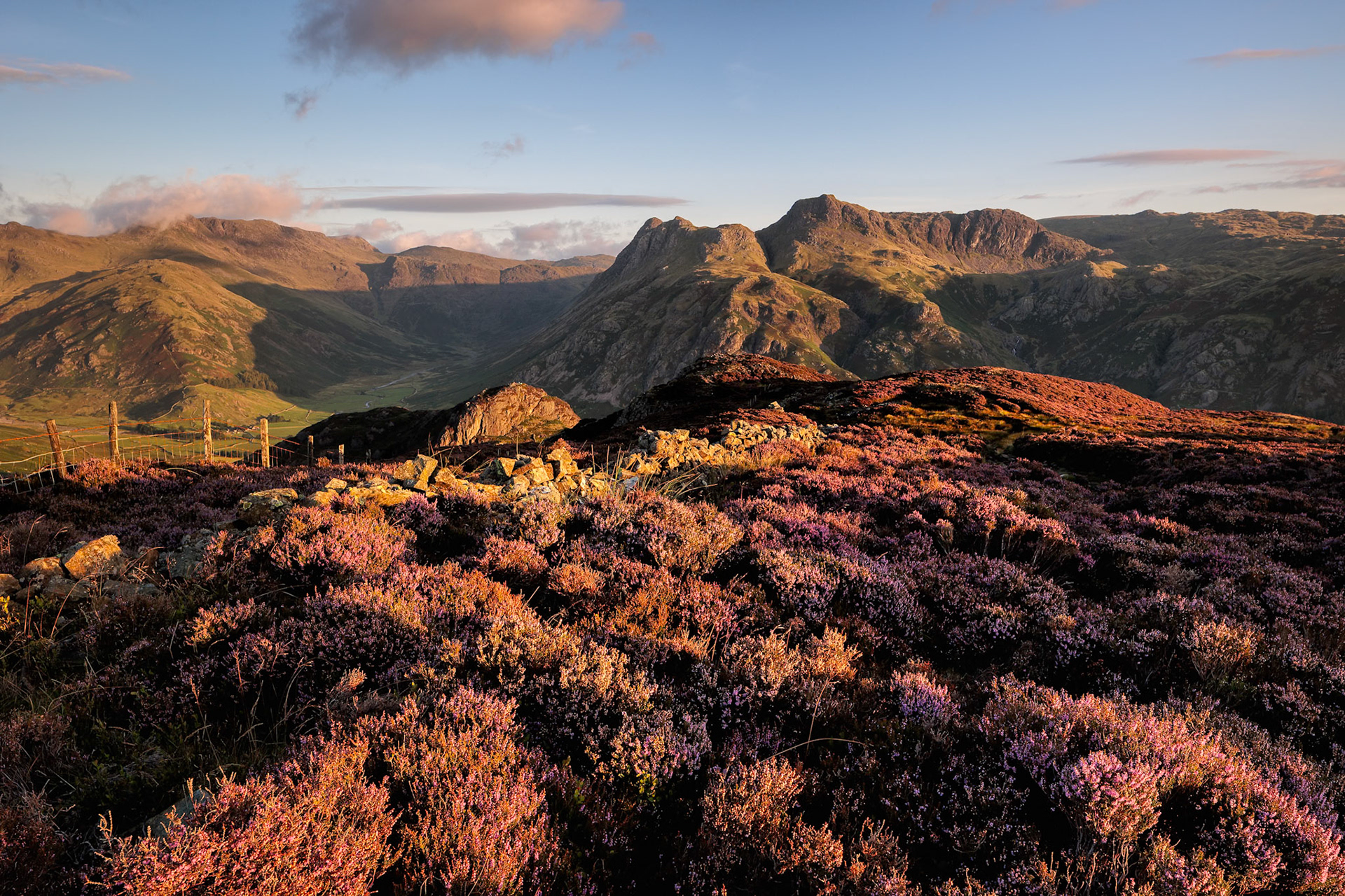 Langdale heather 2
