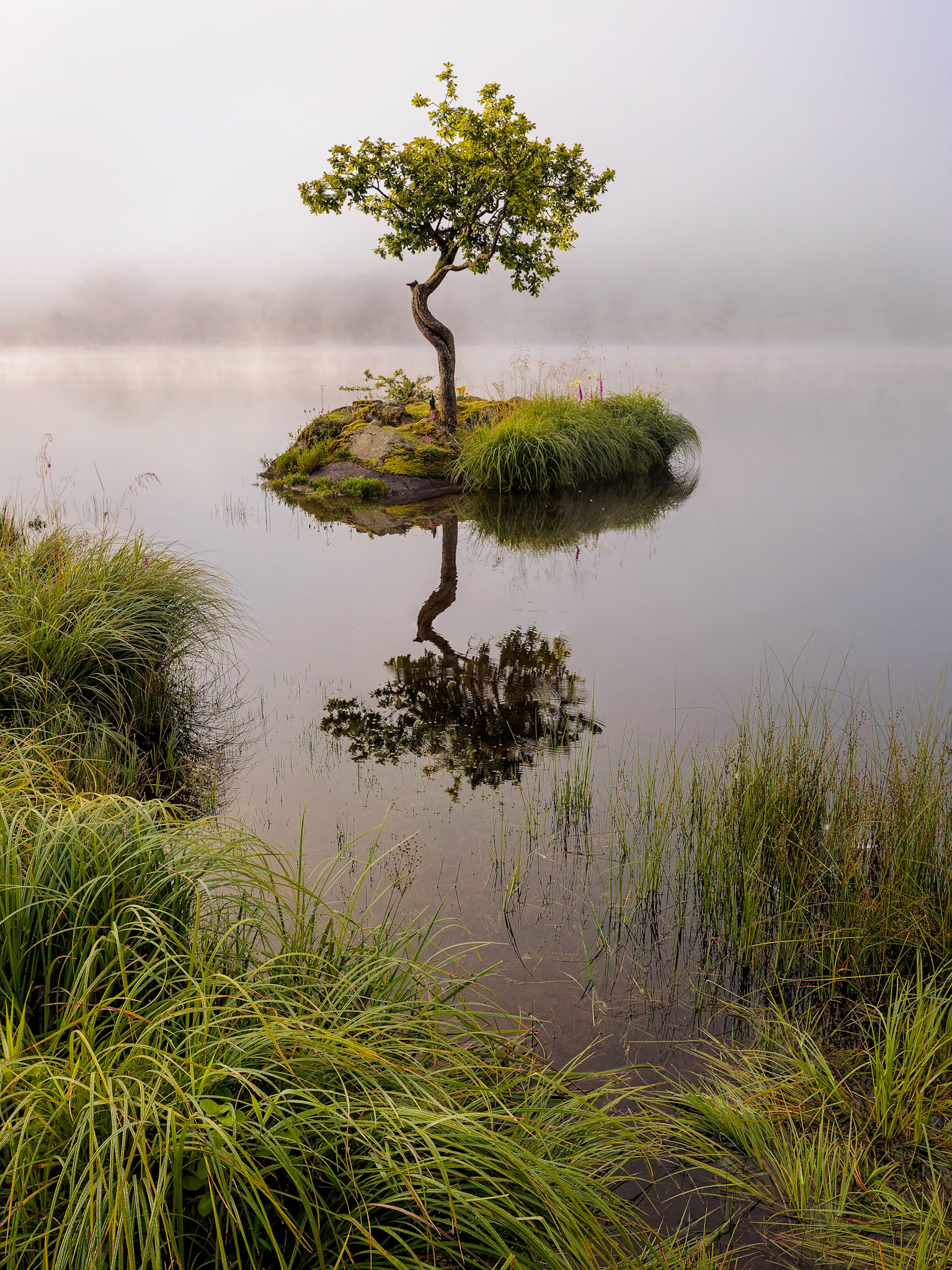 Grasmere