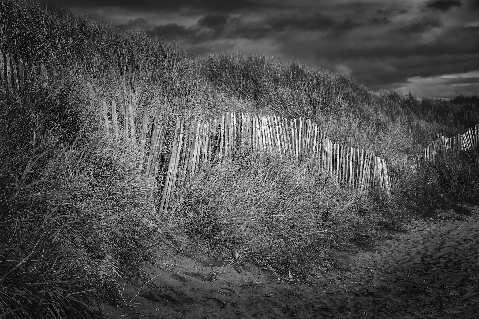 Fenceline Beadnell
