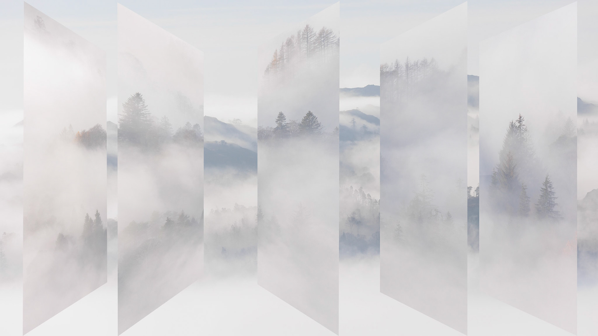 Windows of my mind