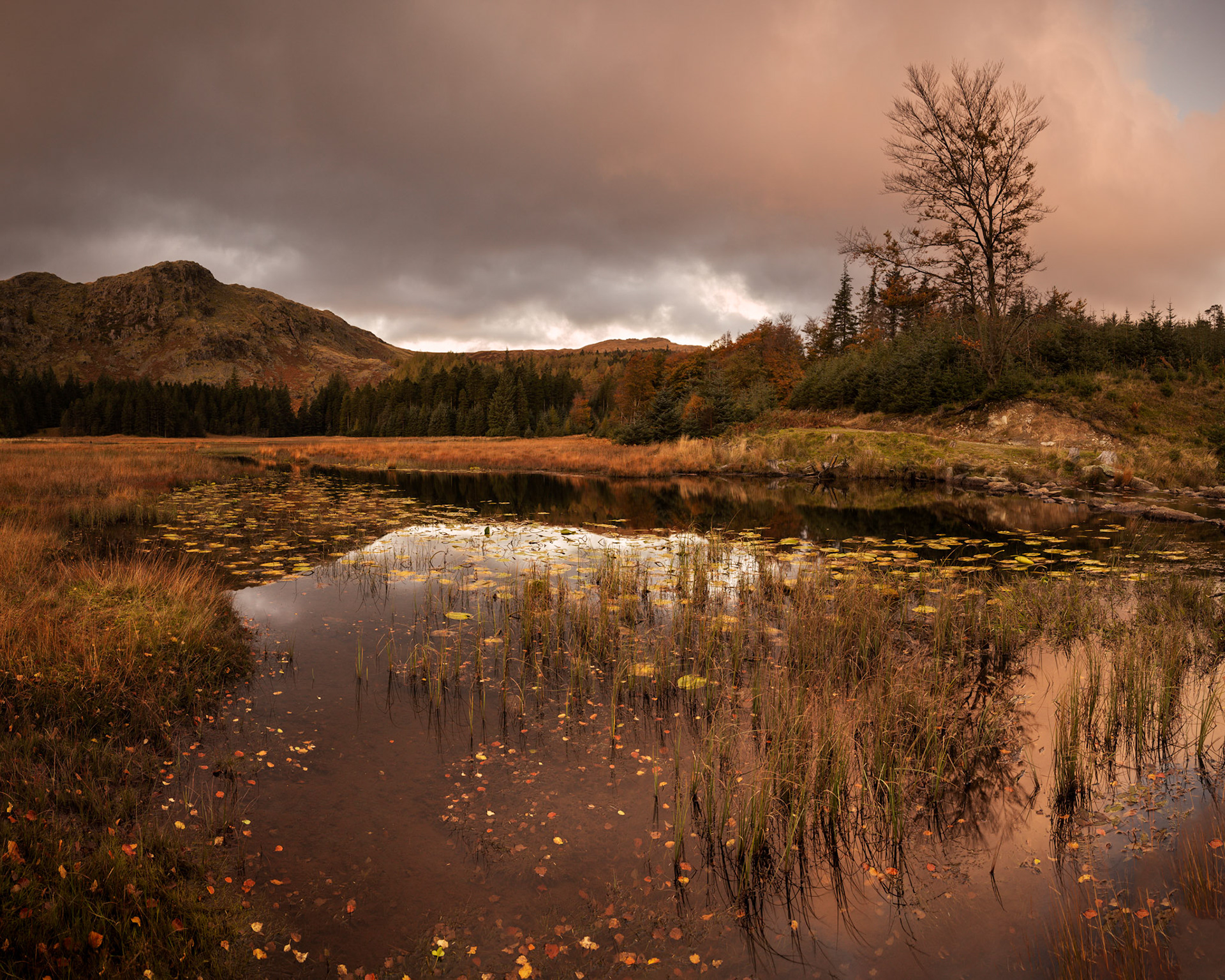 Harrop Tarn