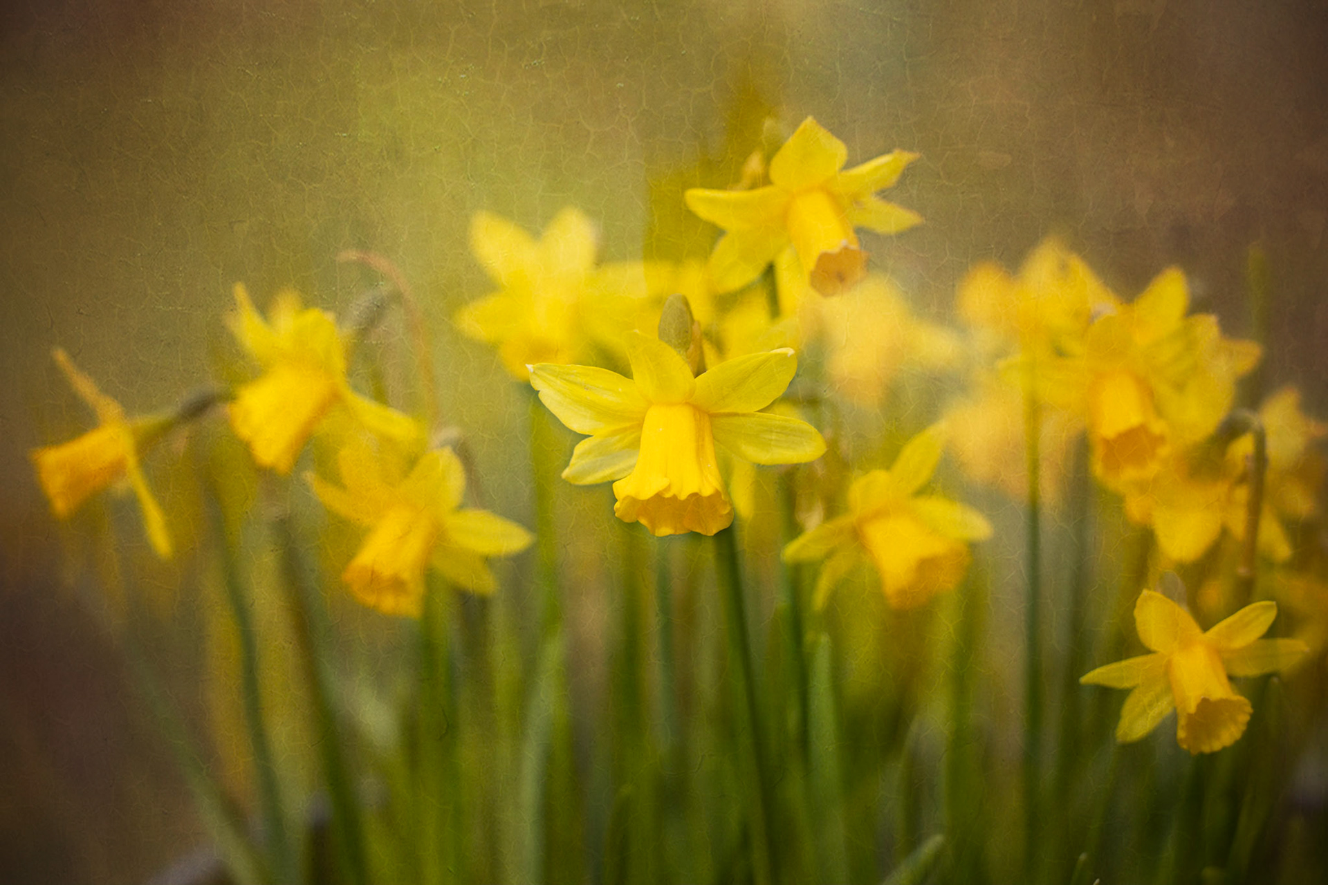 Tete a tete