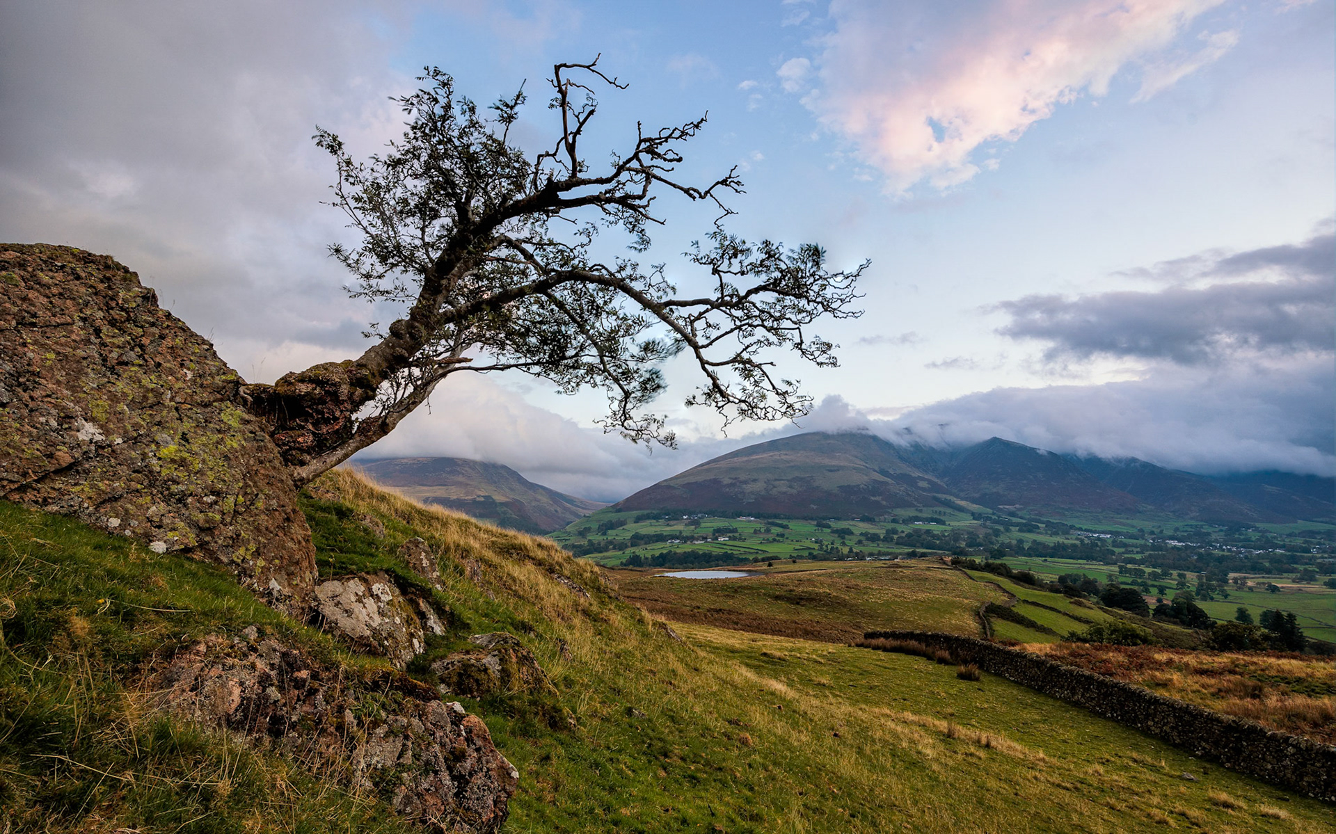 Blencathra &amp; Tewet tarn tree