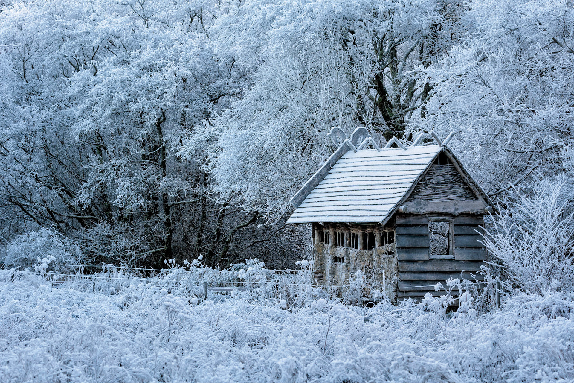 Silver meadows frost