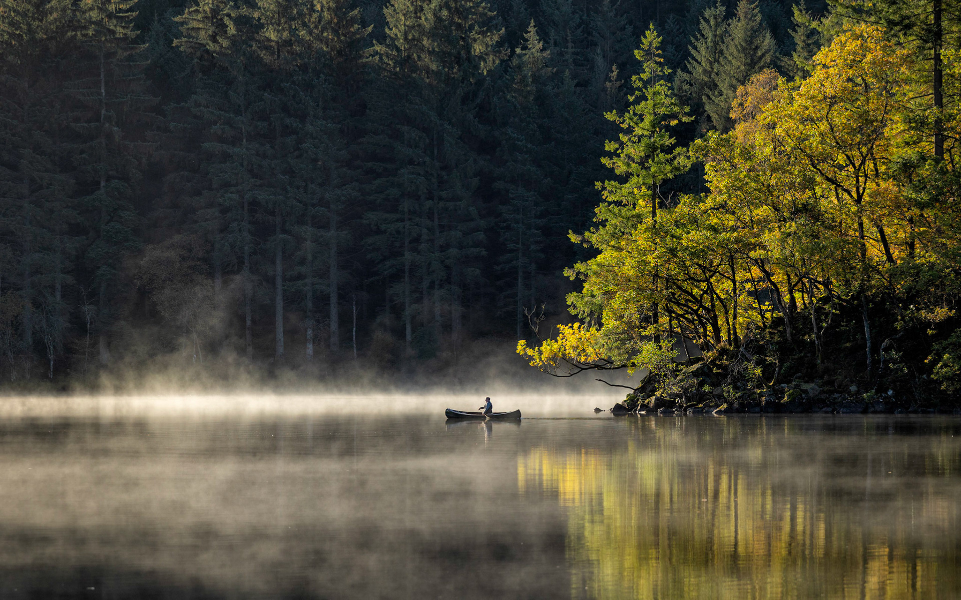 A moment of reflection