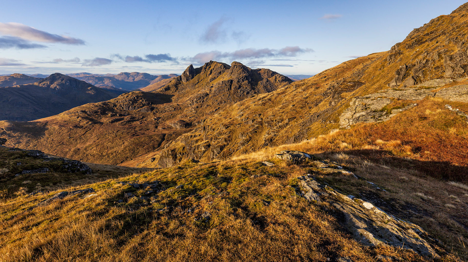 The cobbler