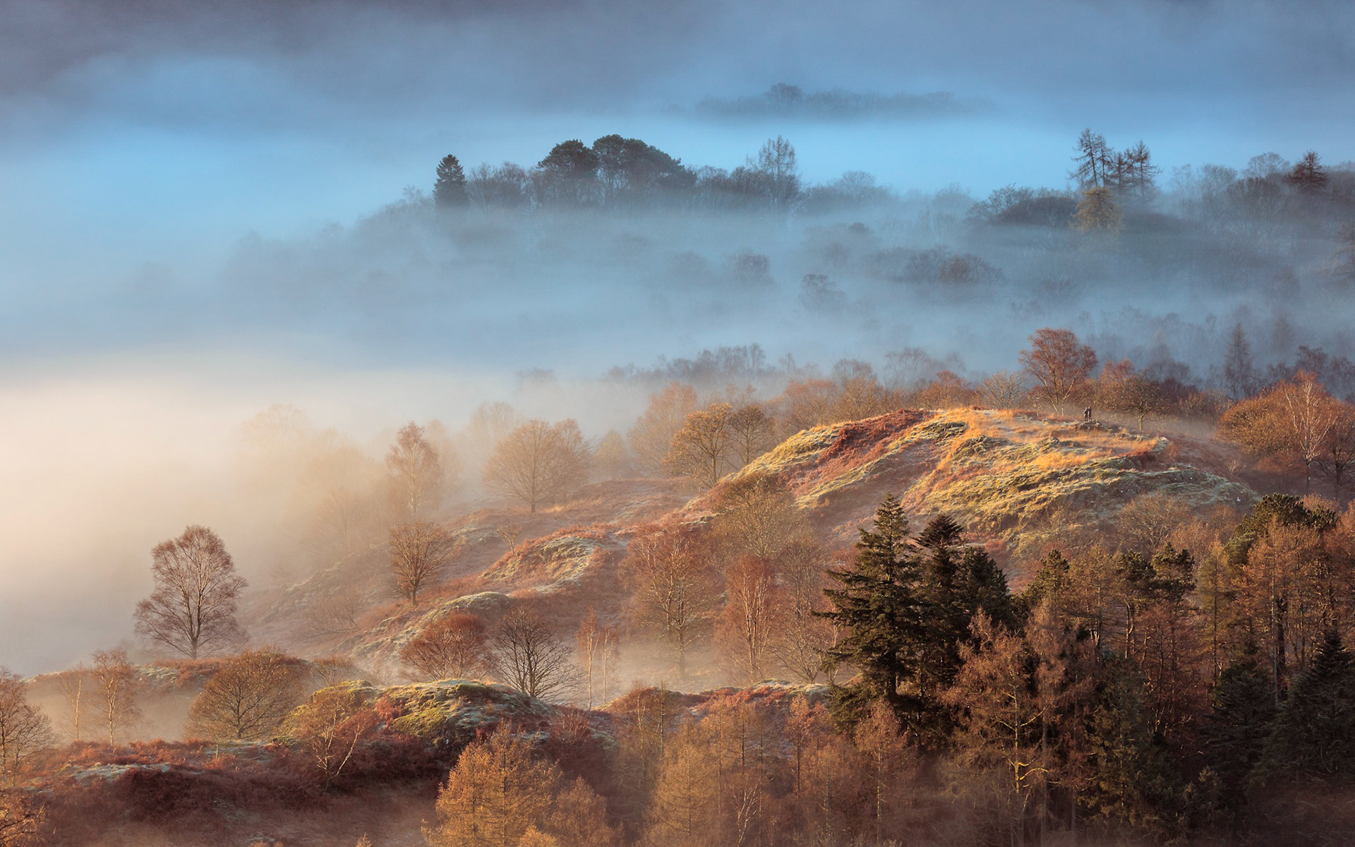 Autumn mists