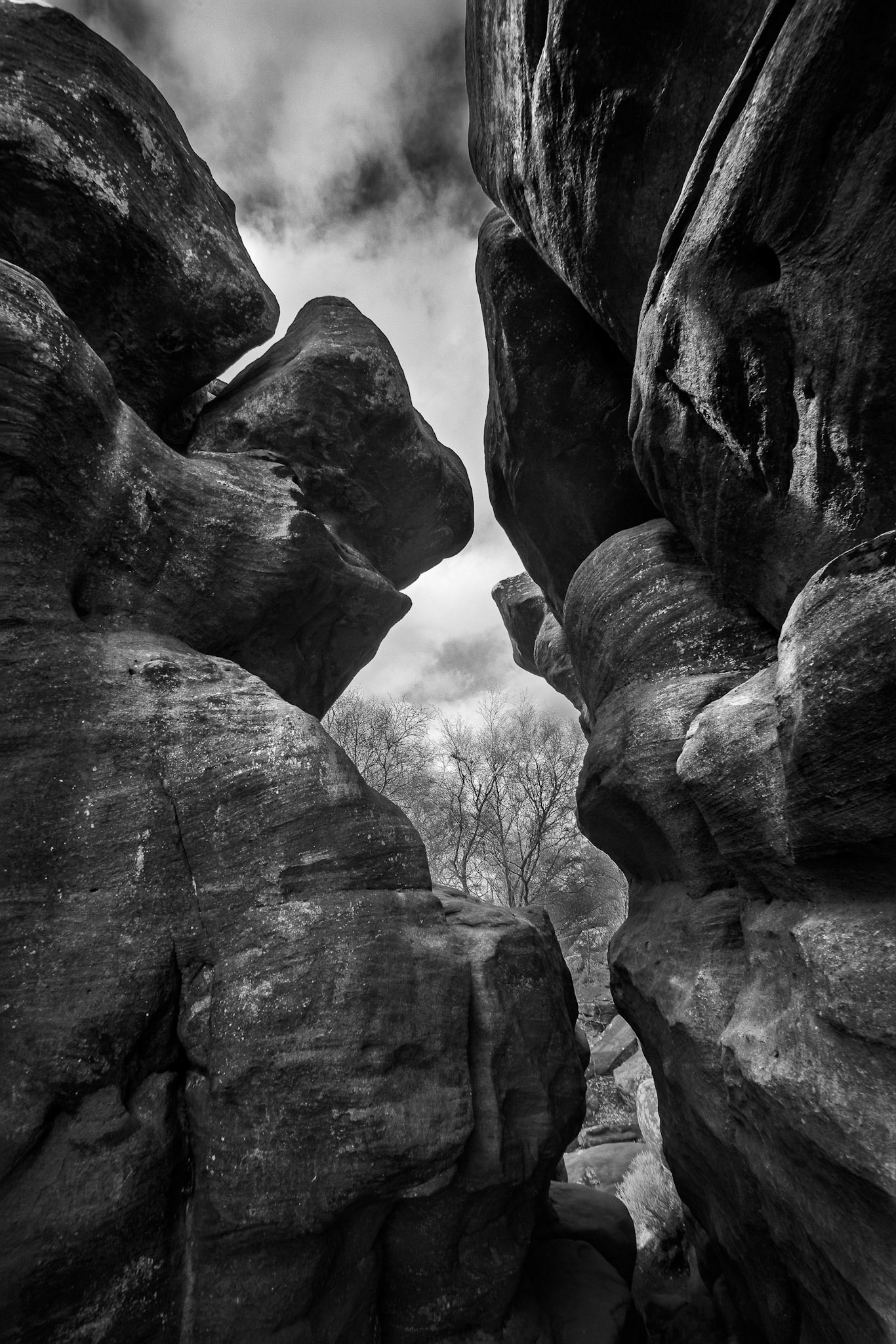 Brimham rocks