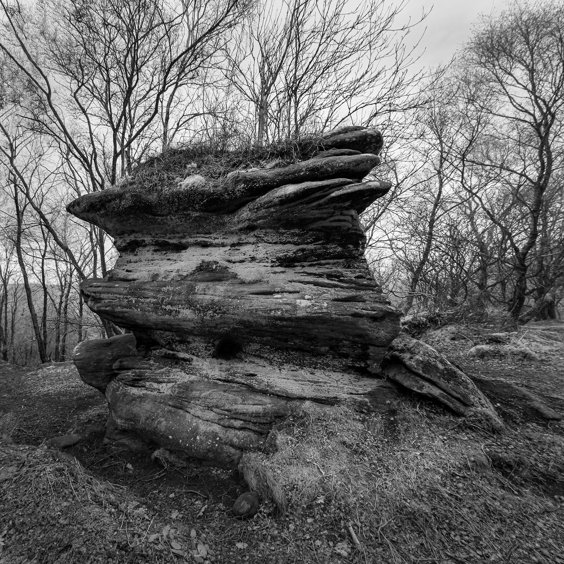 Brimham rocks