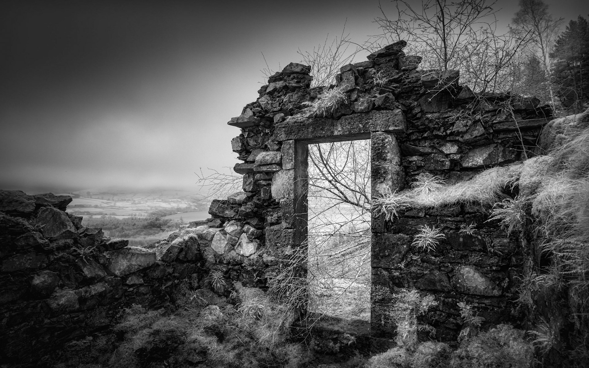 Encroaching