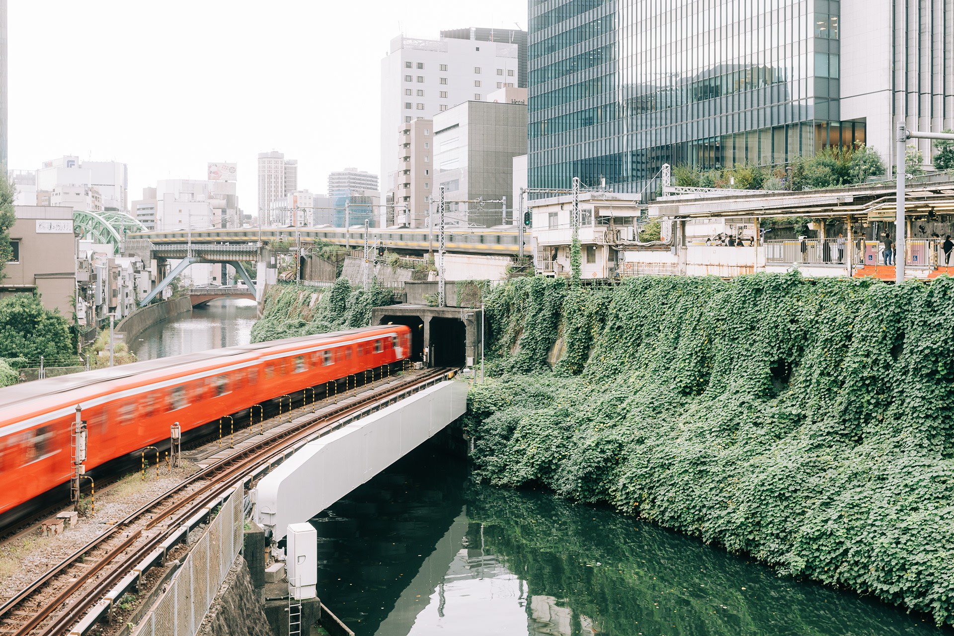 A quiet urban moment of a green train passing by a concrete wall covered in ivy. Minimalist composition focusing on the intersection of nature and transit.