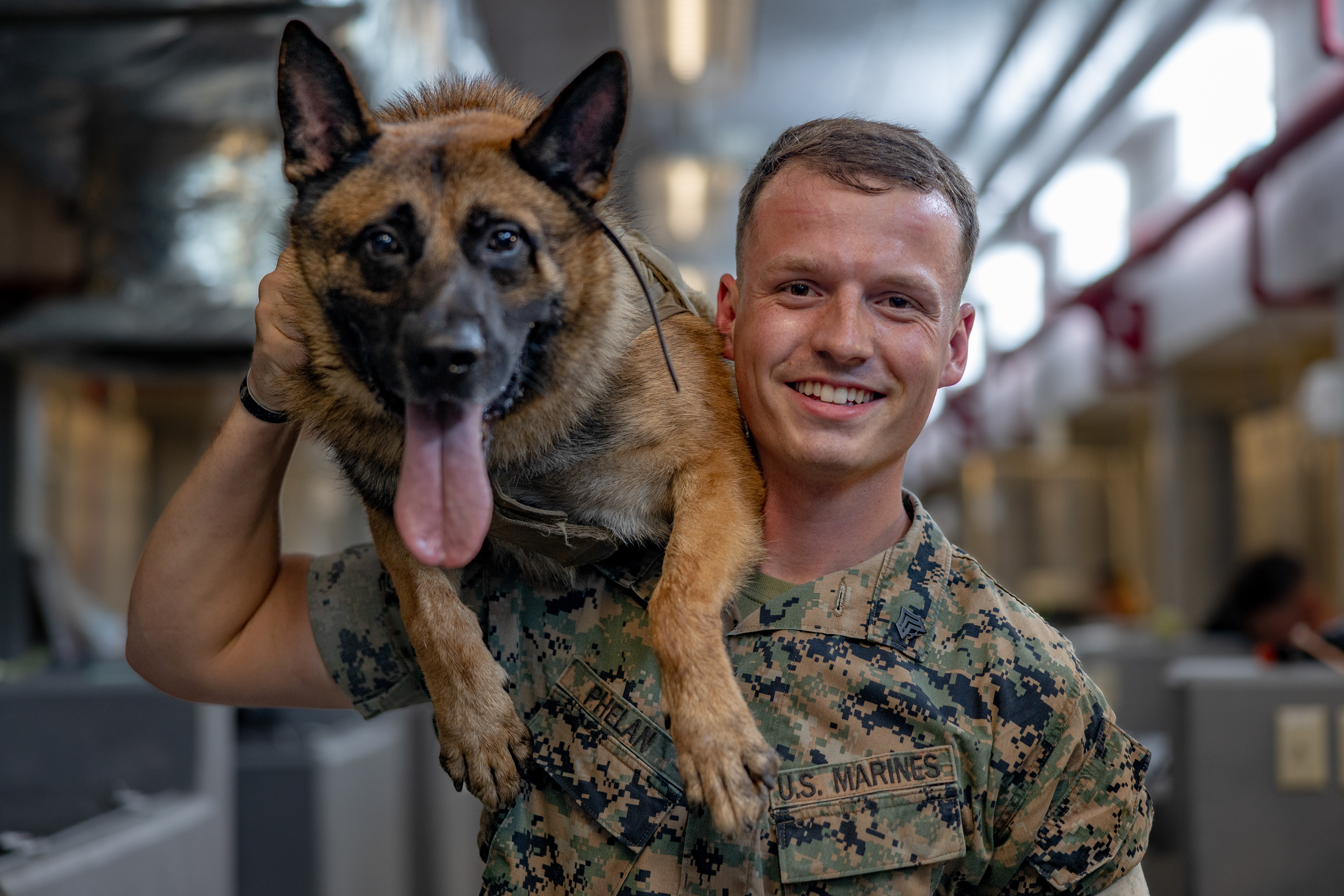 U.S. Marine Corps Sgt. Michael Phelan, a military police officer and working dog handler with Headquarters and Support Battalion, Marine Corps Installations Pacific, poses for a picture with military working dog Graco, a 3-year-old German Shepherd patrol and explosive detection dog with direction control through obstacles at Camp Hansen on July 10, 2023 in Okinawa, Japan.