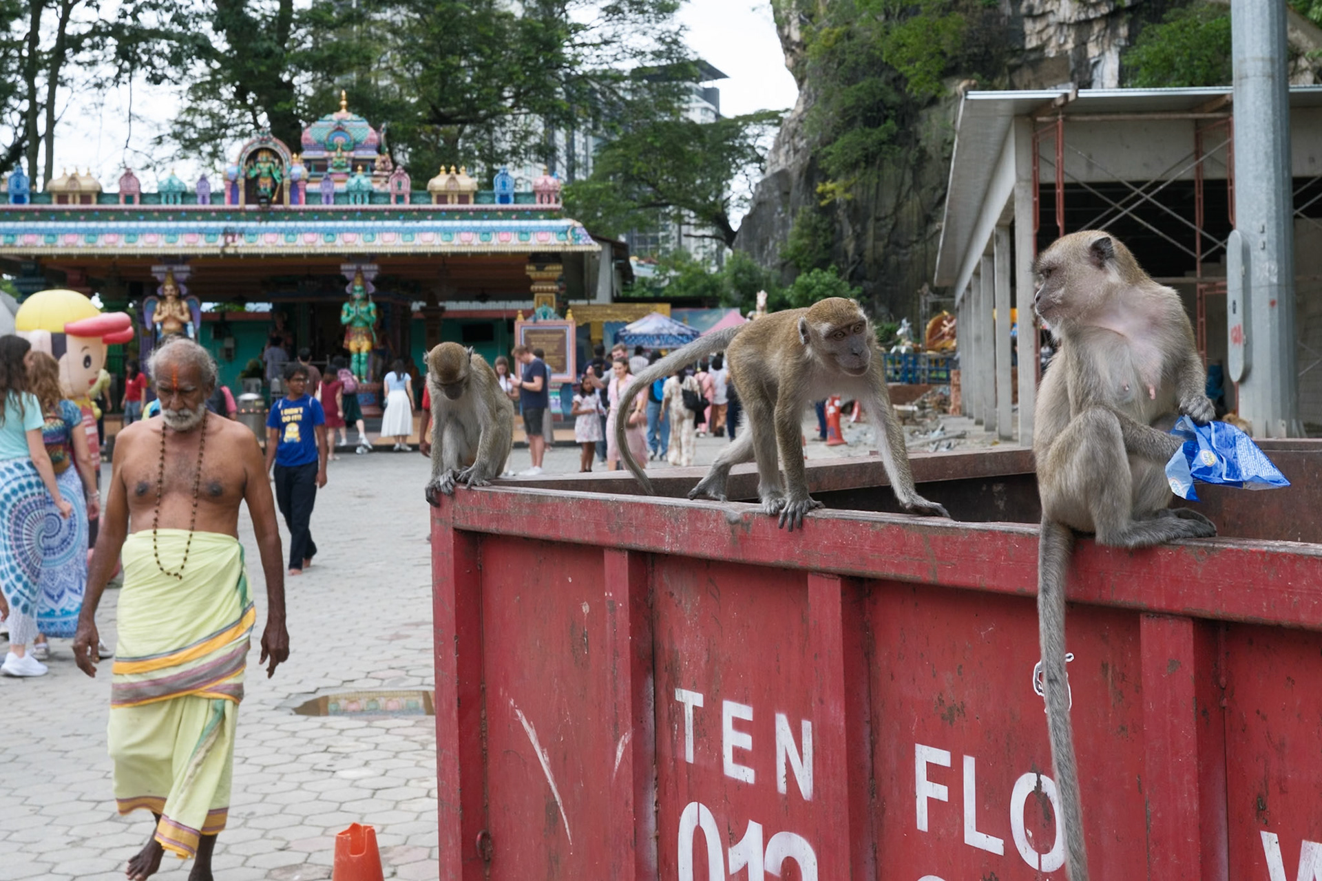 Batu Caves is an important Hindu temple