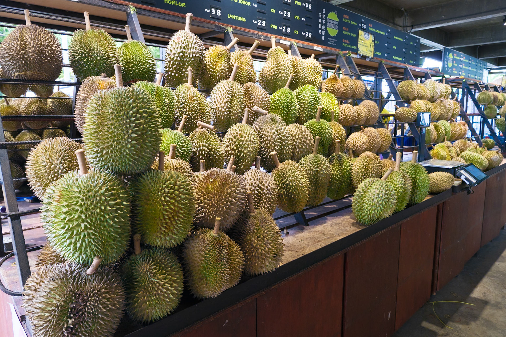 Relatively cheap here but still expensive