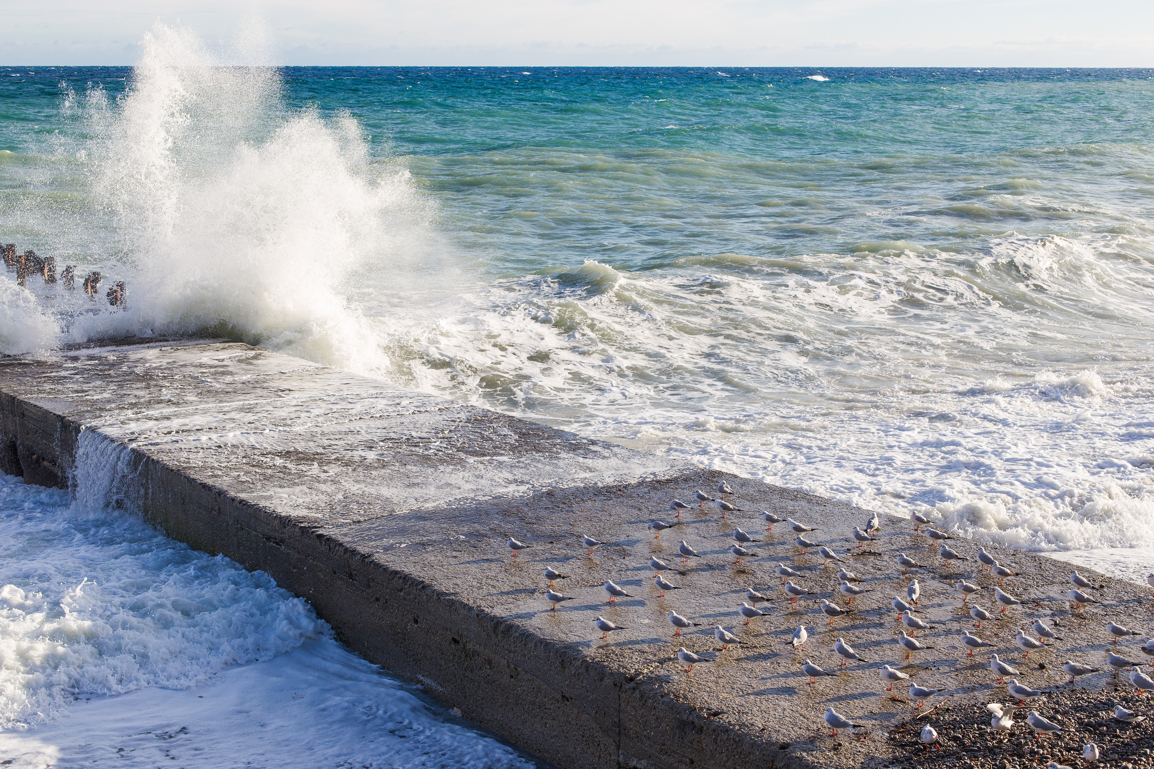 National Geographic - December 2014