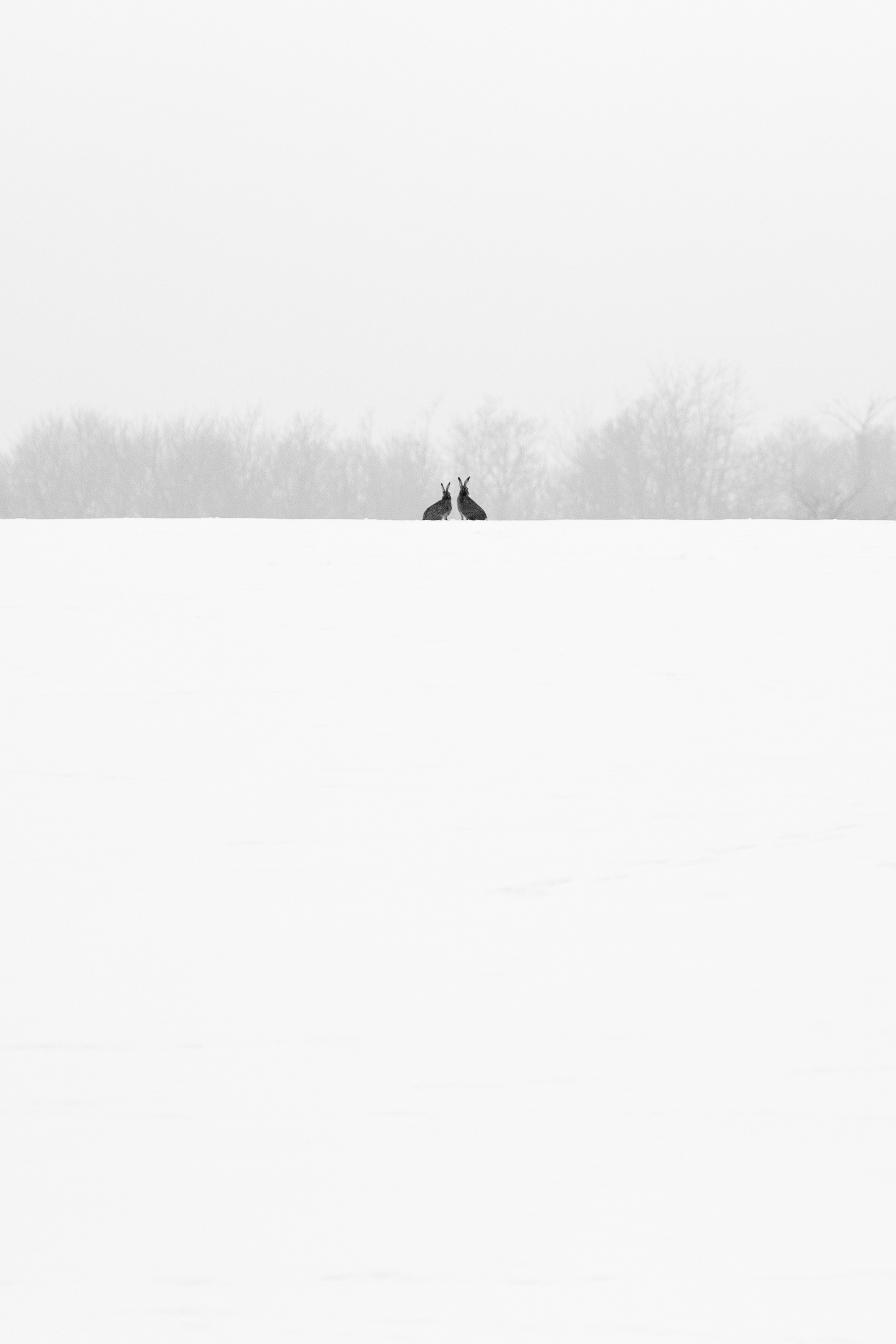 BNW minimalist photography prize 2024 - honorable mention