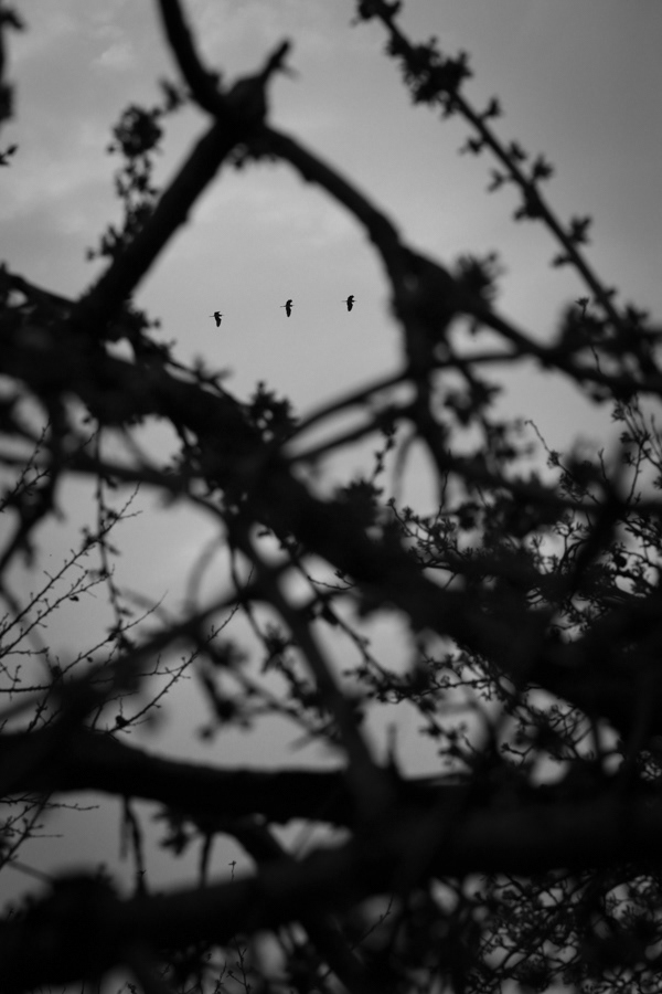 3 - Canon Ukraine 2015