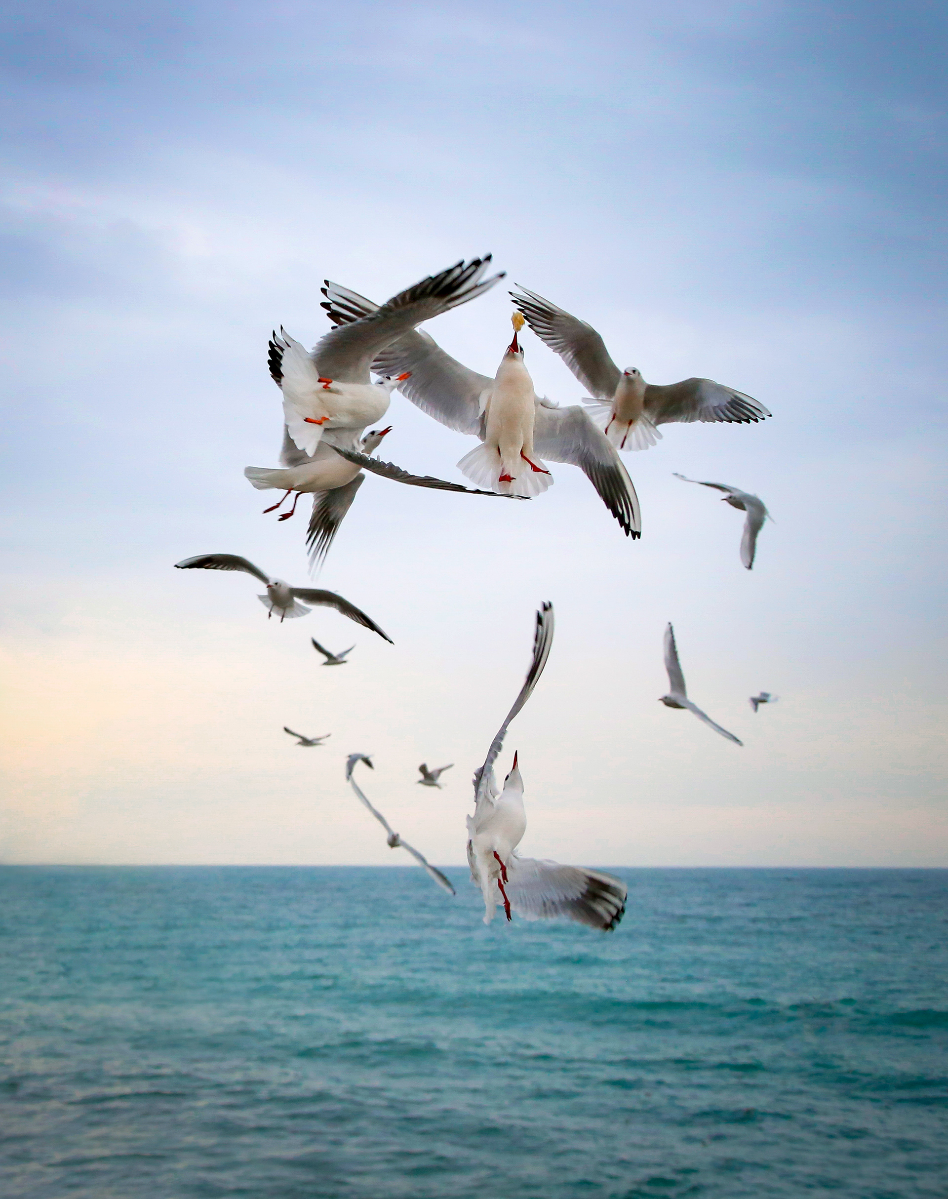 Day Magazine - Kyiv 2015