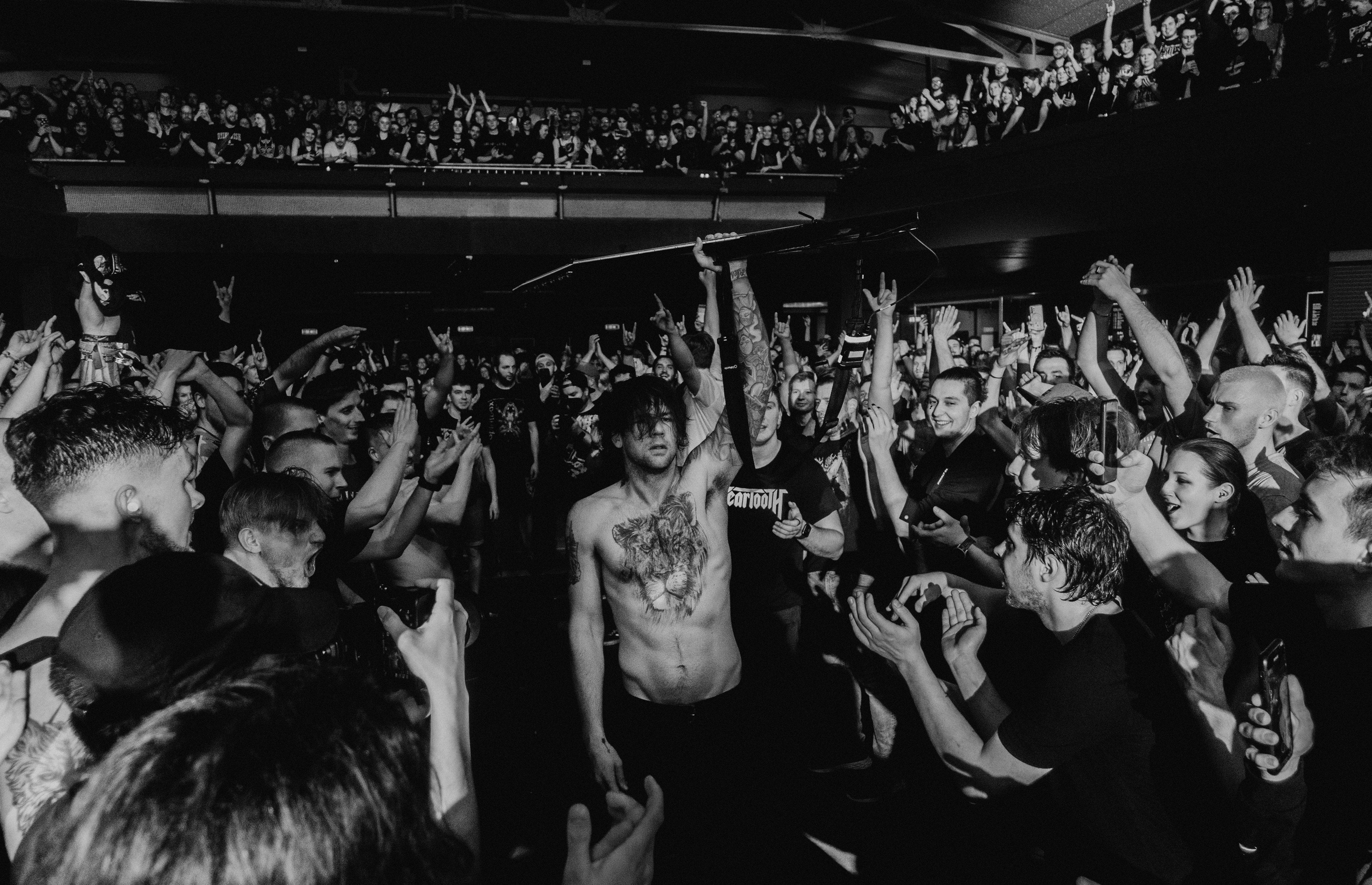 Beartooth