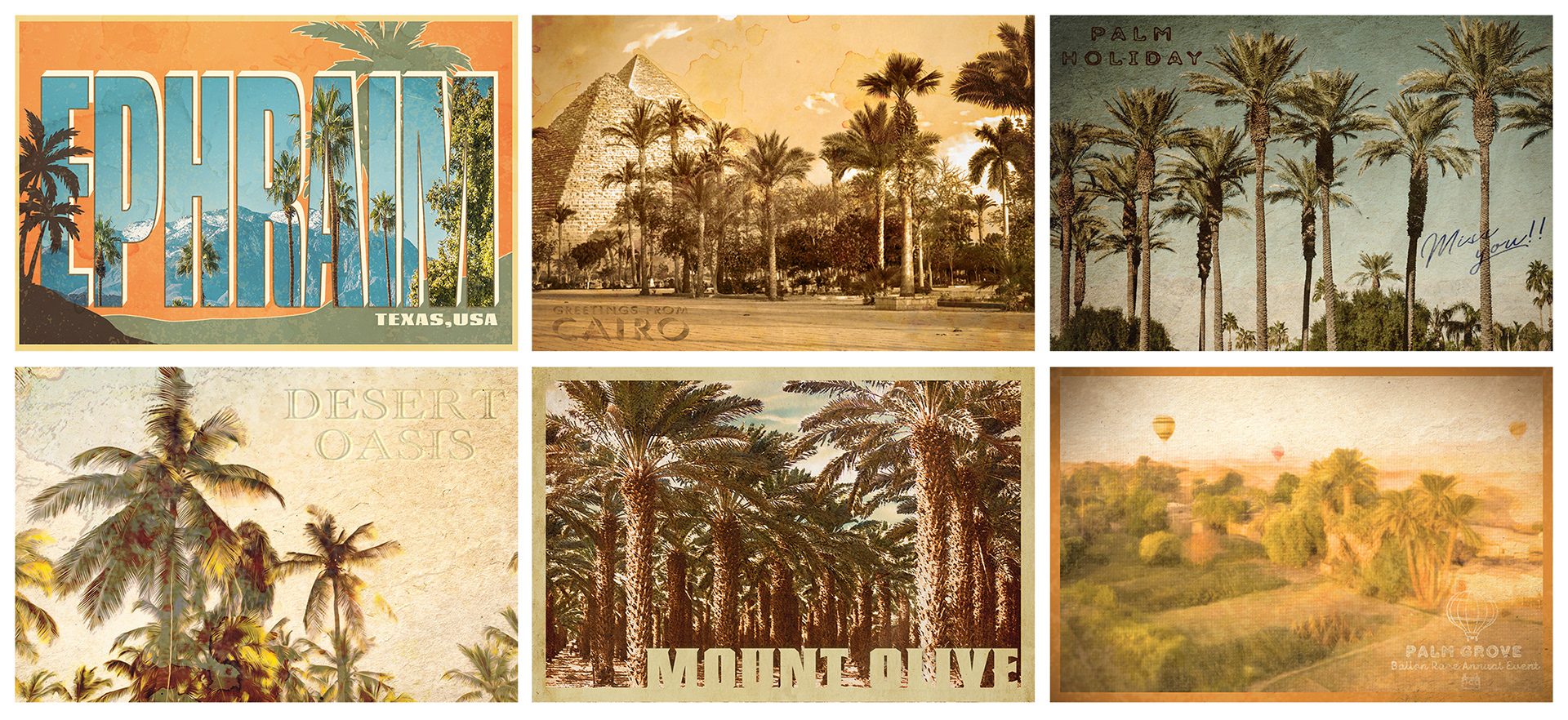 Palm Tree Poster Cards: Peacock Limited Series 2022