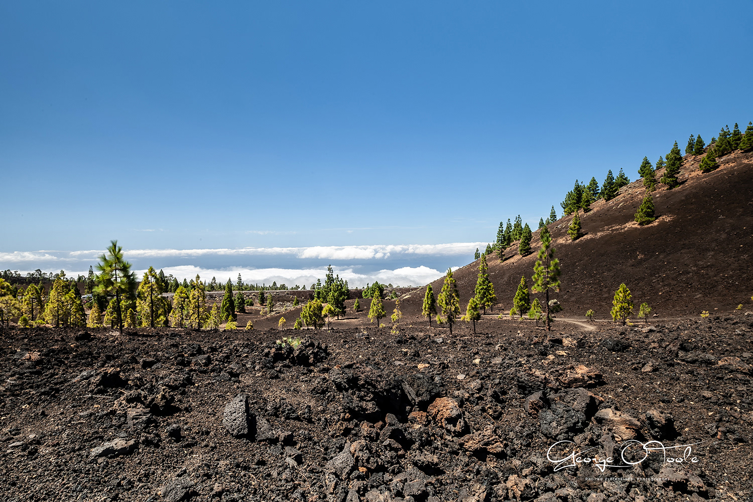 Teide National Park Tenerife
