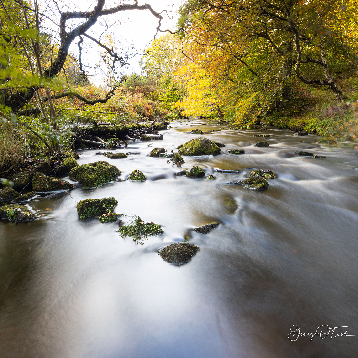 Murieston Water Almondvale & Calderwood Country Park 
