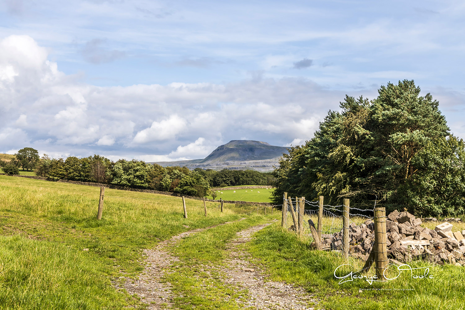 Ingleborough Ingleton.