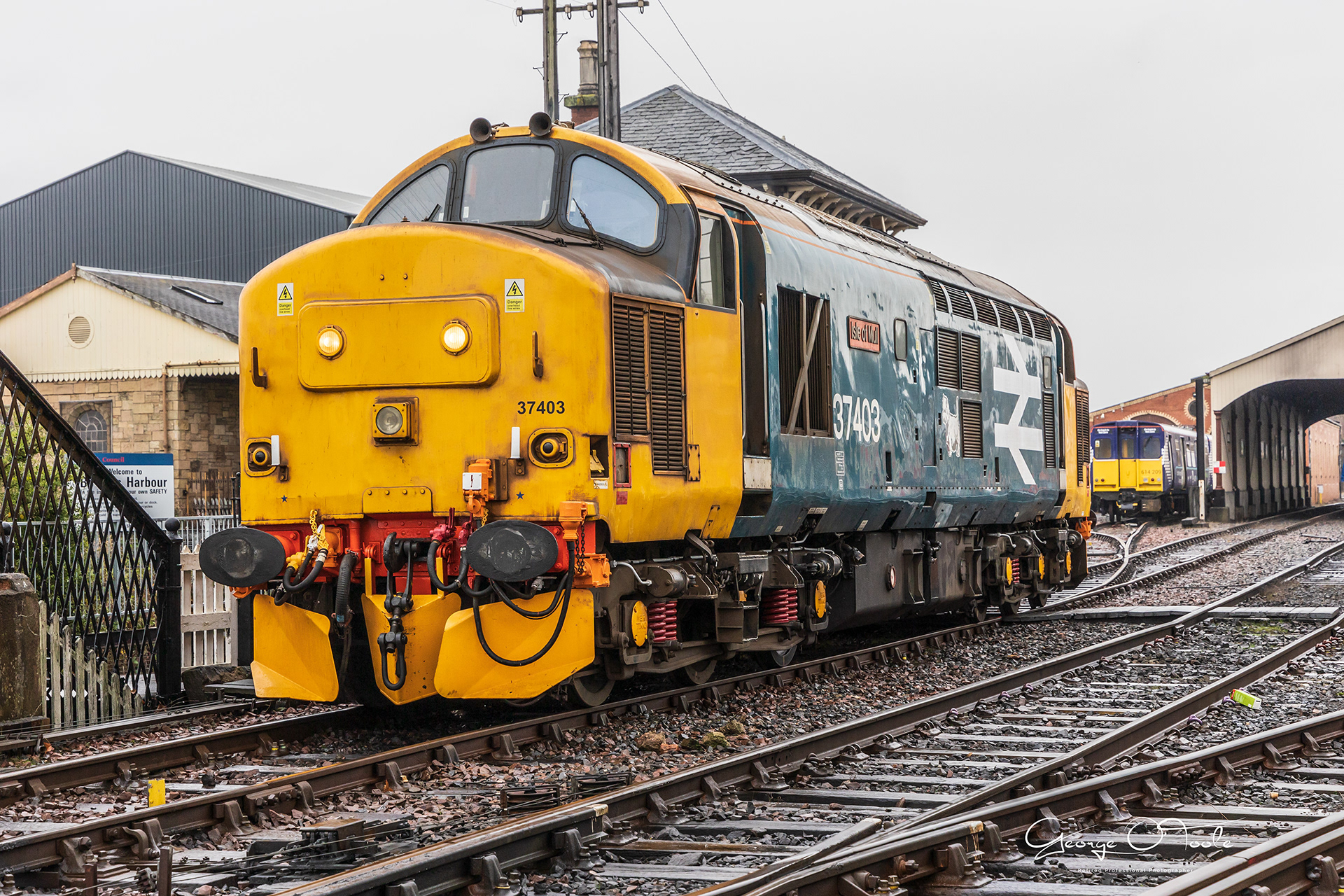37403-Class-37-Isle-of-Mull-Green