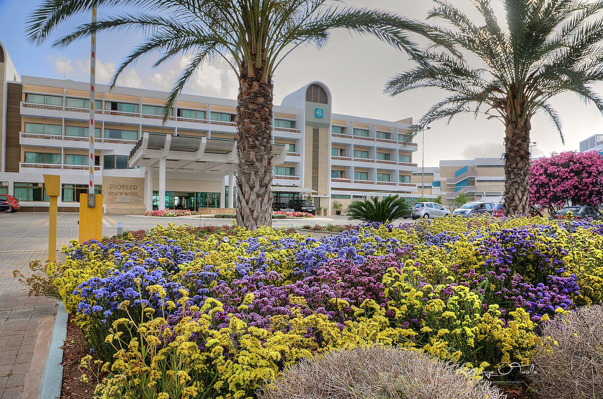 Pioneer-Beach-Hotel,-Paphos