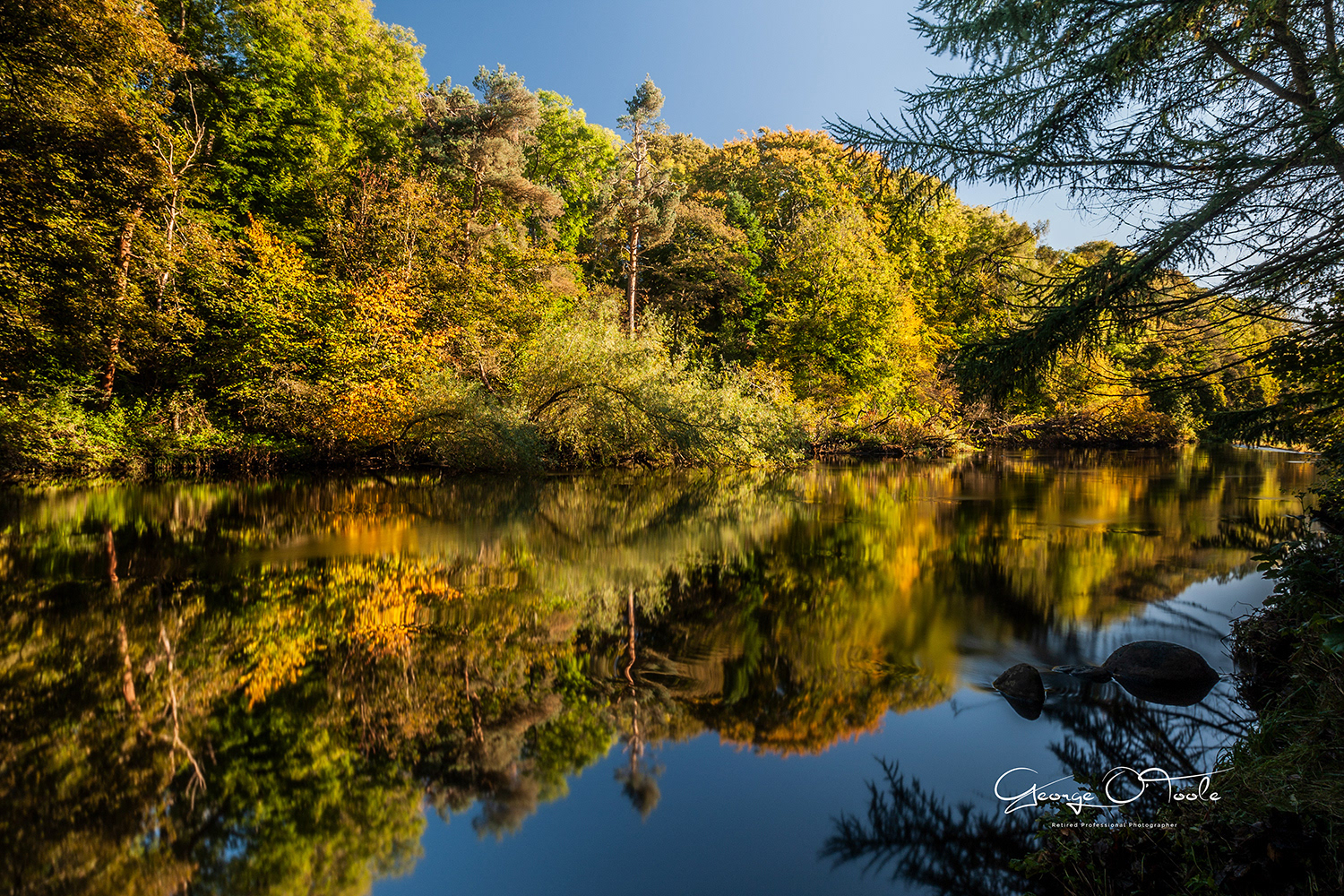 River Almond Almondvale & Calderwood Country Park 
