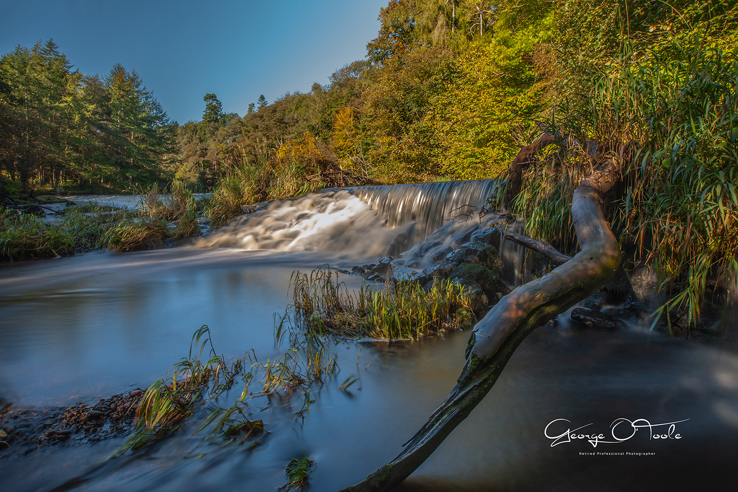 River Almond Almondvale & Calderwood Country Park 