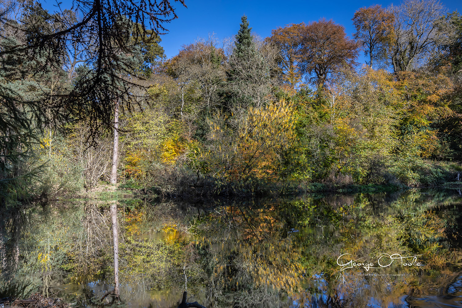 River Almond Almondvale & Calderwood Country Park 