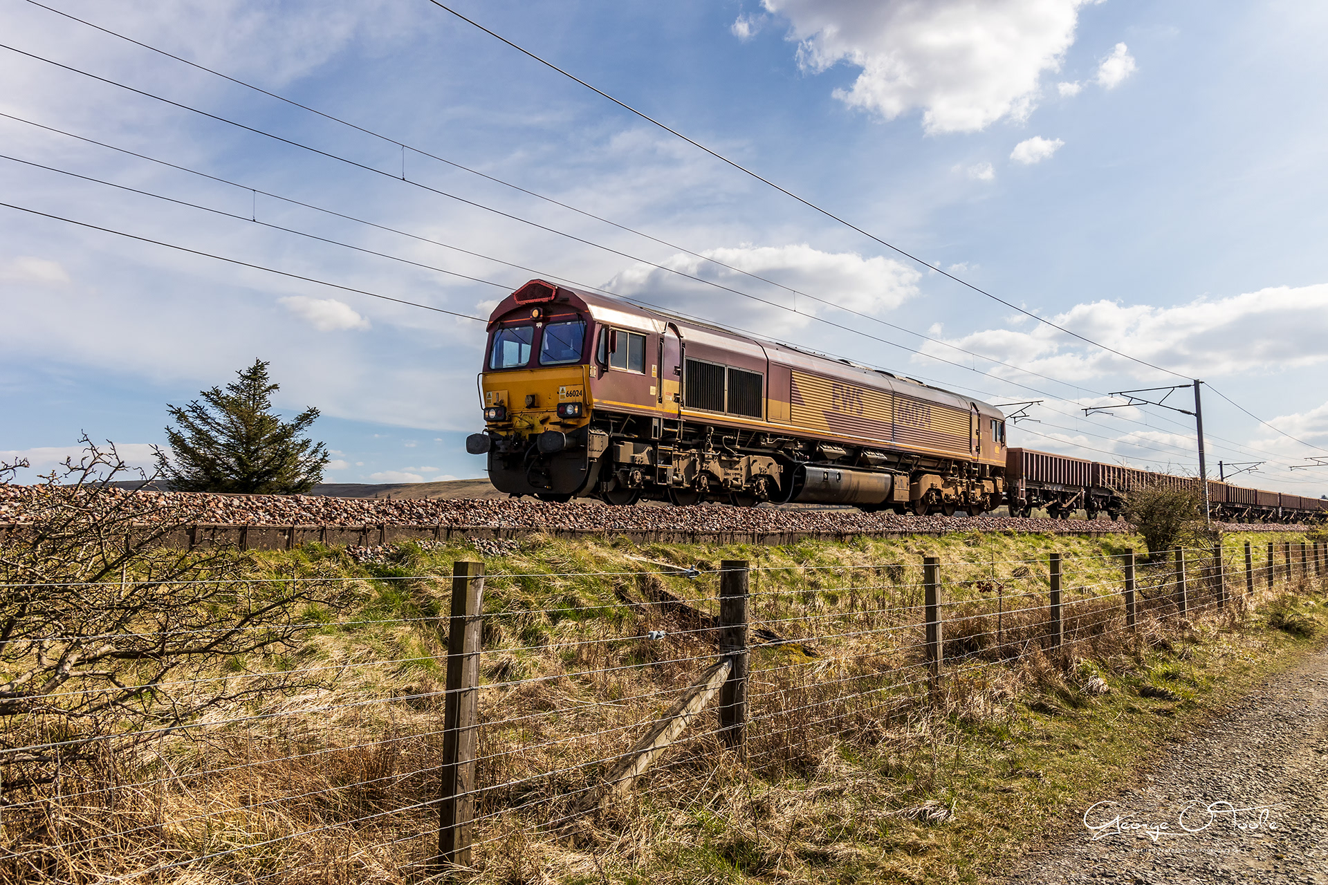 66024 Class 66 EWS livery at Morton