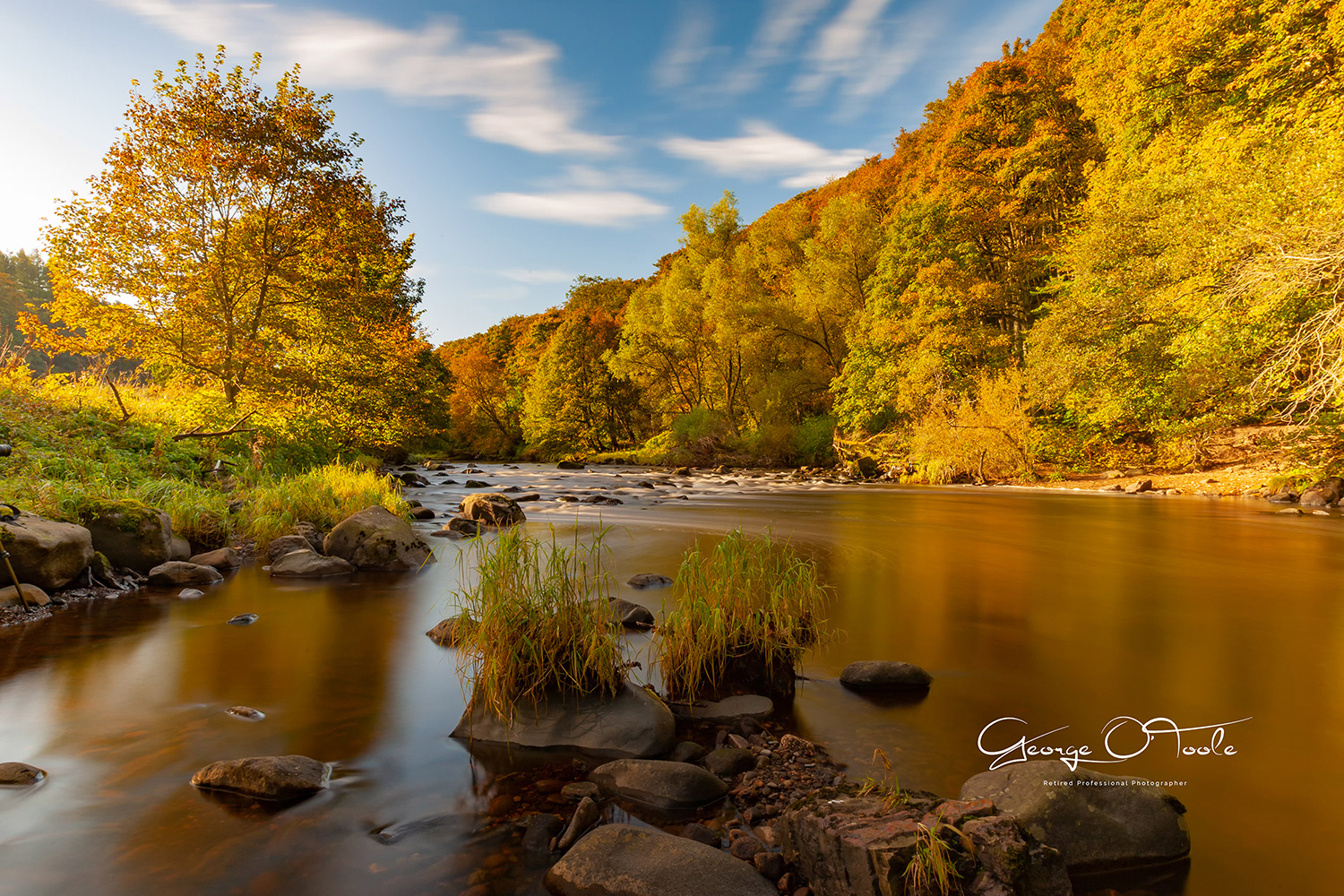 River Almond Almondvale & Calderwood Country Park 