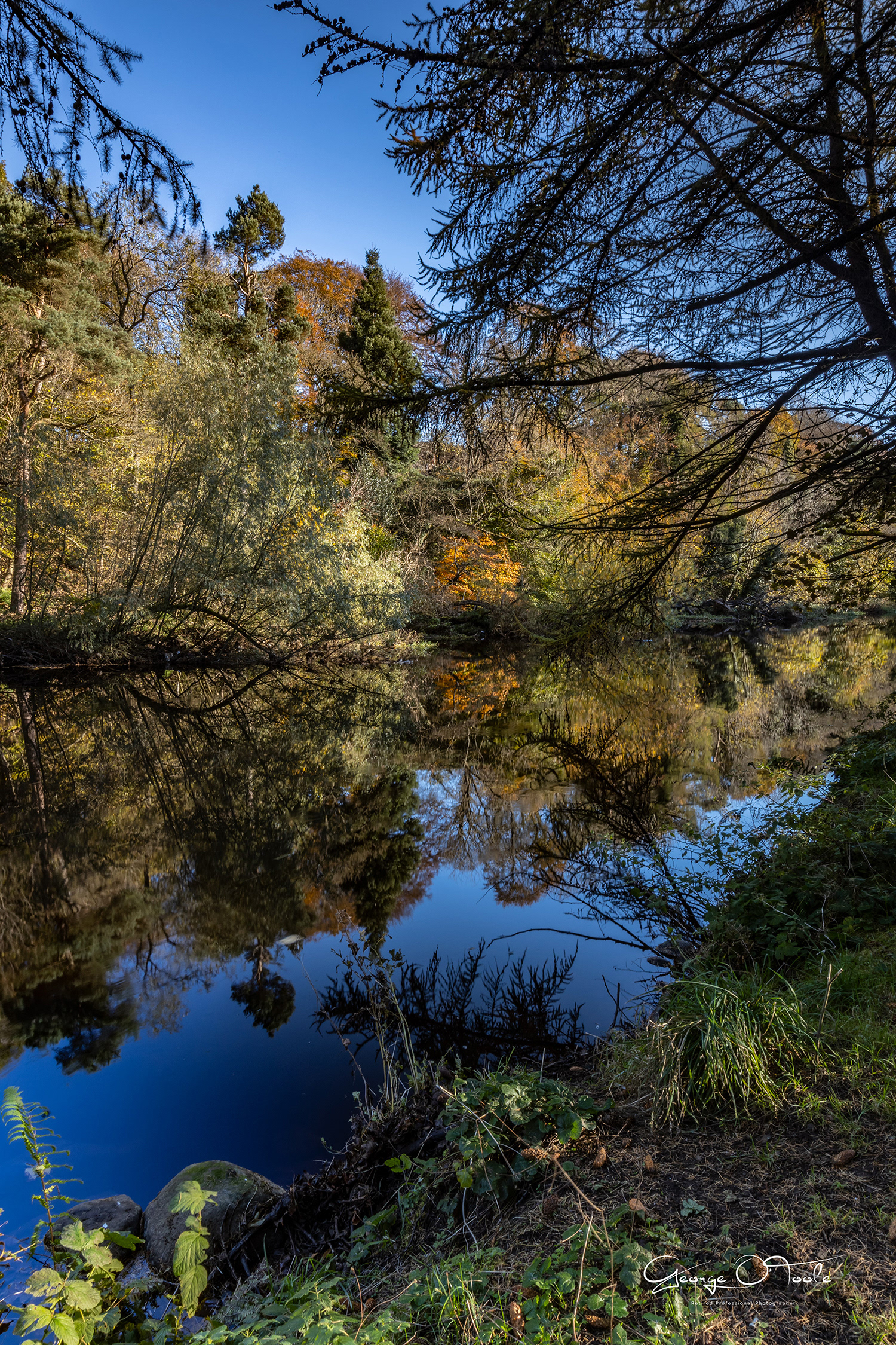 River Almond Almondvale & Calderwood Country Park 