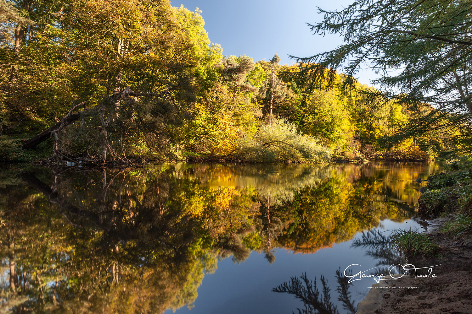 River Almond Almondvale & Calderwood Country Park 
