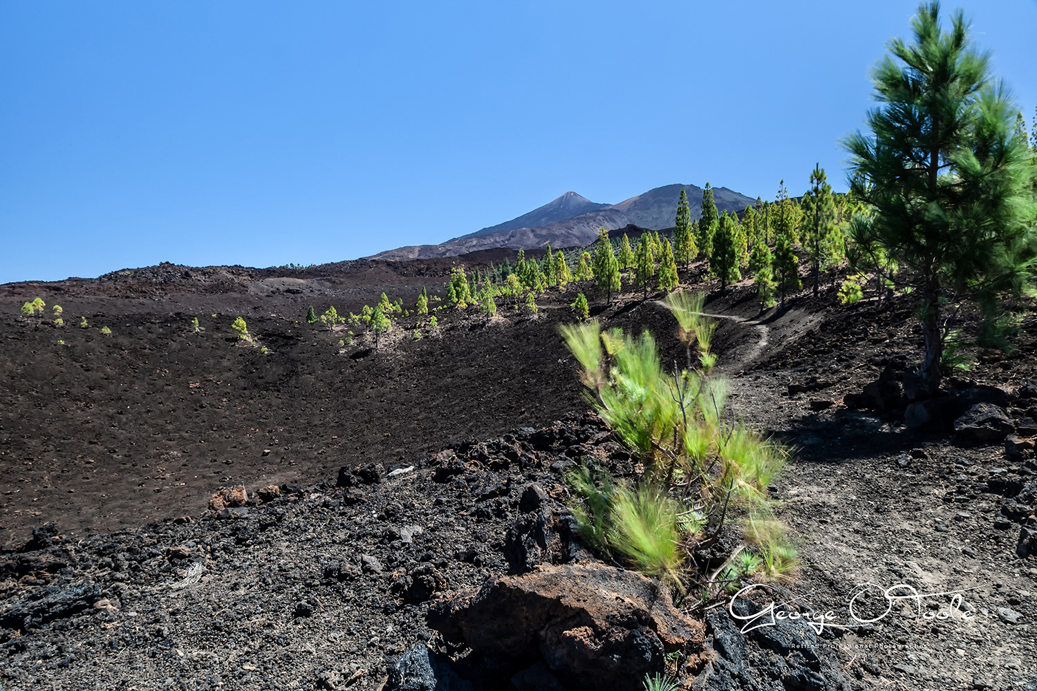 Teide National Park Tenerife
