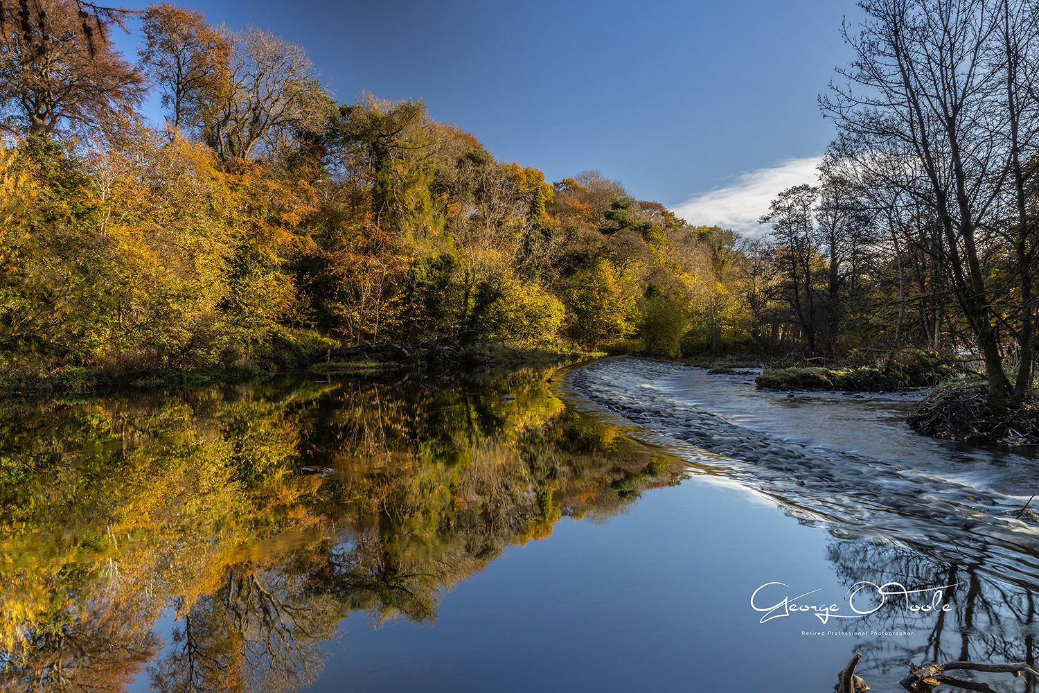 River Almond Almondvale & Calderwood Country Park 