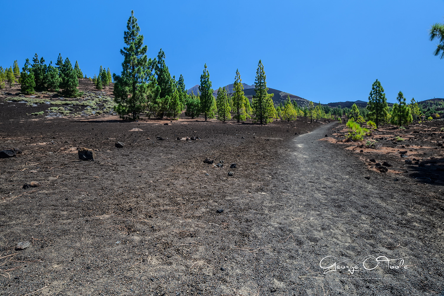 Teide National Park Tenerife